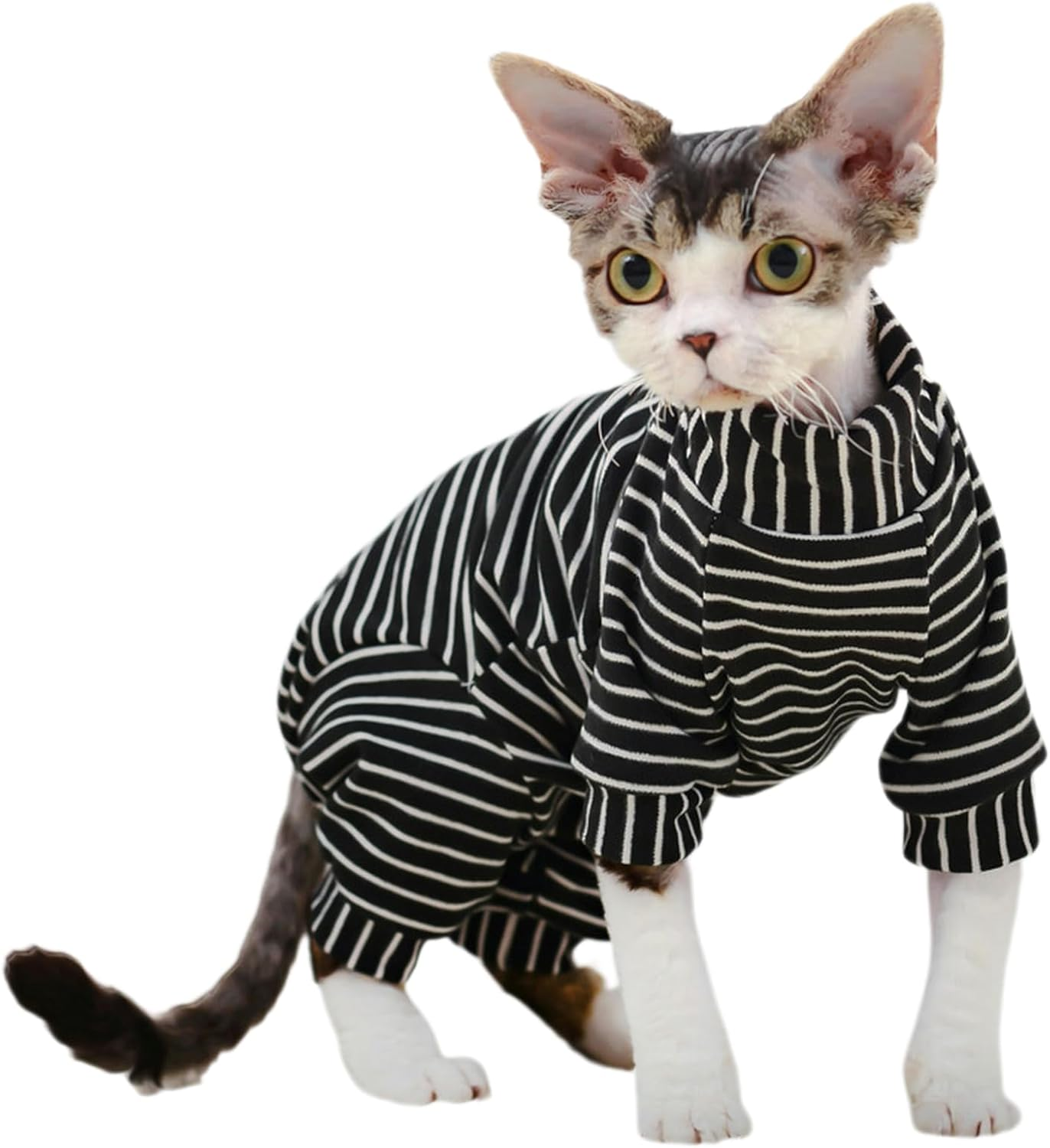 IUOUTG Hairless Cat Clothes Four Leg Breathable Sphynx Cat Apparel Stripes Cat T-Shirts with Sleeves Turtleneck Kitten Pullover Shirts Cat Pajamas Jumpsuit for Sphynx Devon Cornish image number 2