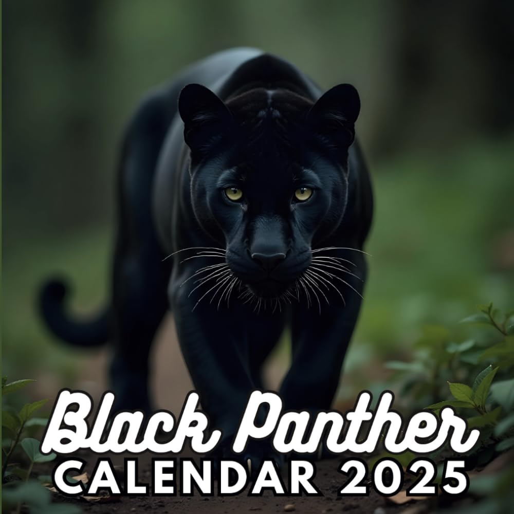 Black Panther 2025 Calendar: 12 Months of Black Panther from Jan 2025 to Dec 2025, Square 8.5 X 8.5 Inches Gift for Organizing & Planning