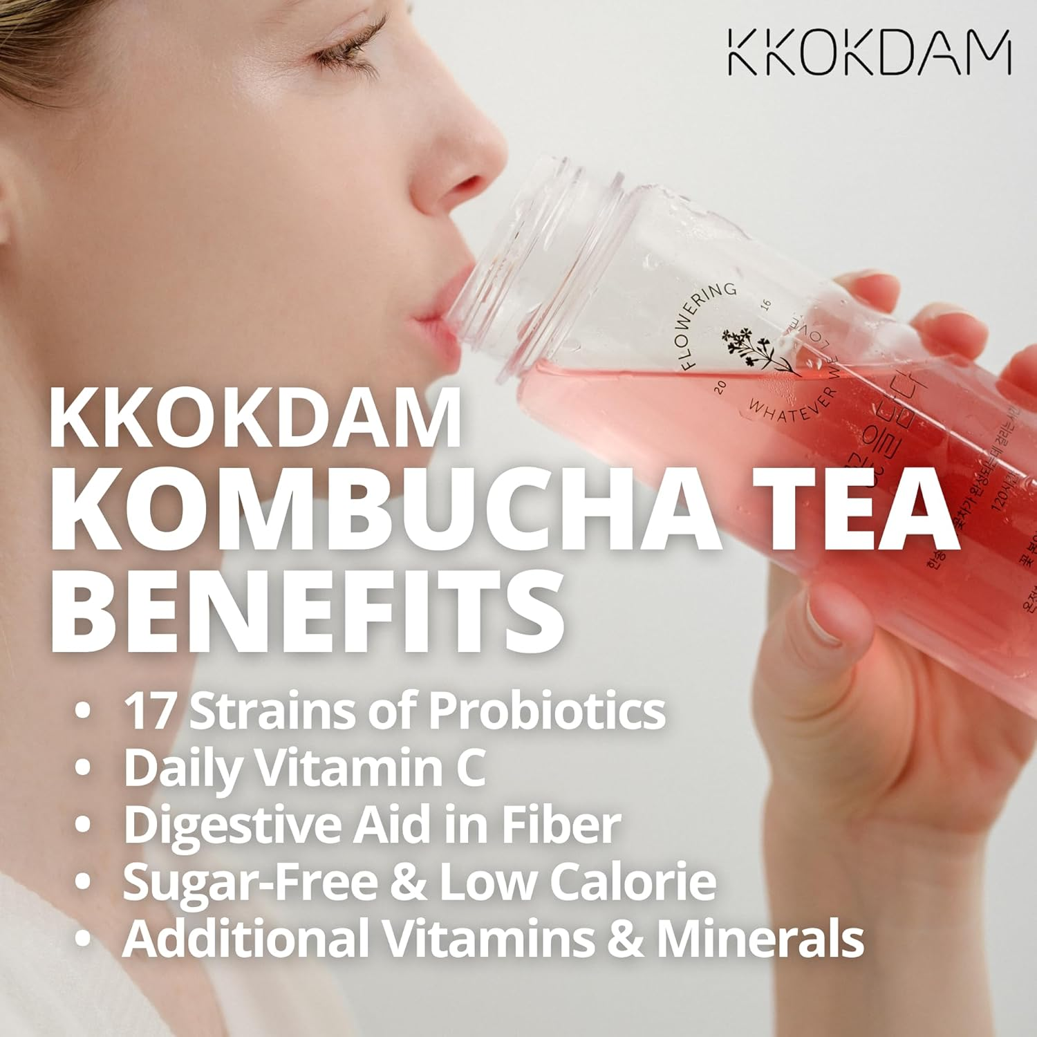 KKOKDAM Kombucha Tea - Korean Grapefruit & Hibiscus Tea: Kombucha with 15 Packs of Kombucha Beverages, Probiotic & Low Calorie Support & S 5G (Pack of 15) image number 5