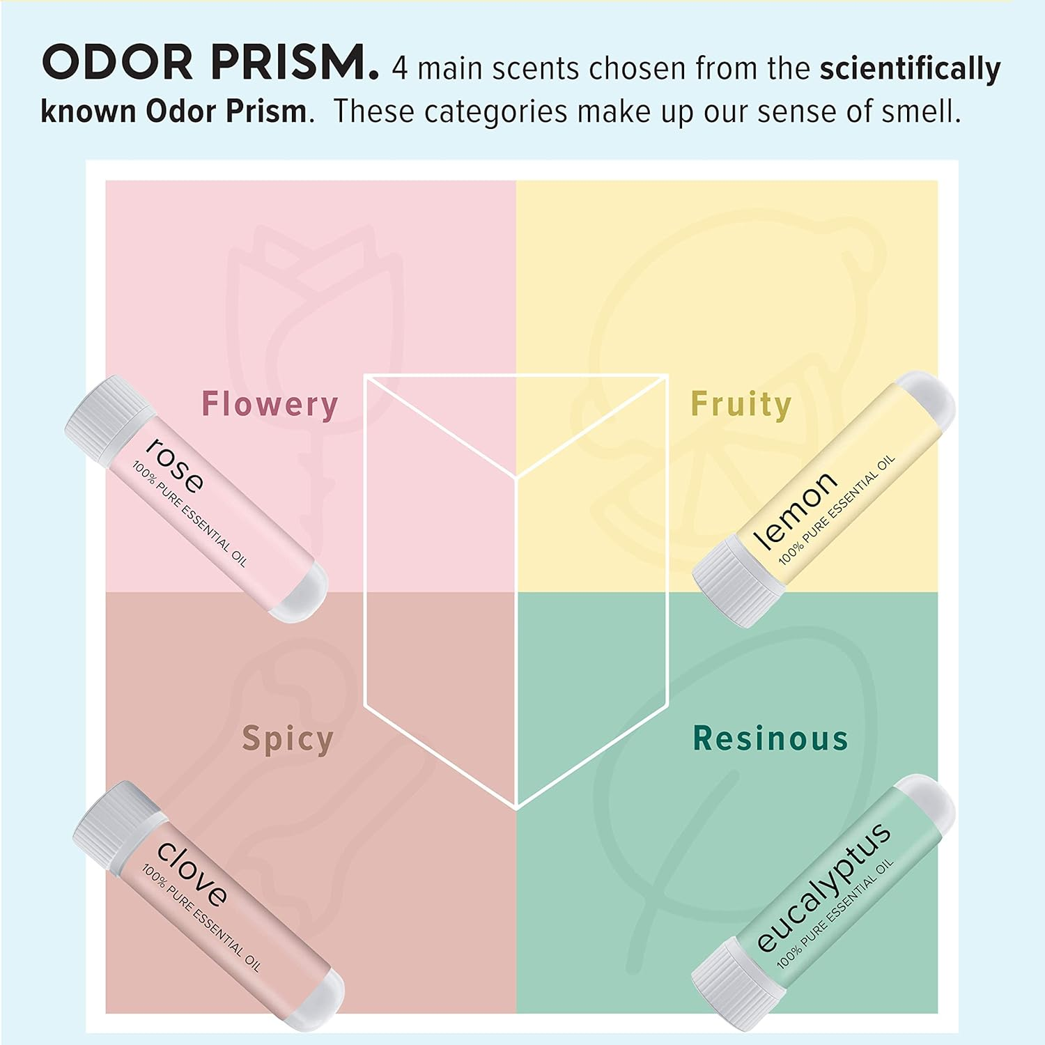 MOXĒ Smell Training Kit, 4 Essential Oils, Olfactory Regeneration, Helps Restore Sense of Smell, Natural Therapy for Smell Loss, Lemon, Rose, Clove, Eucalyptus, Guidebook, Personal Log image number 3