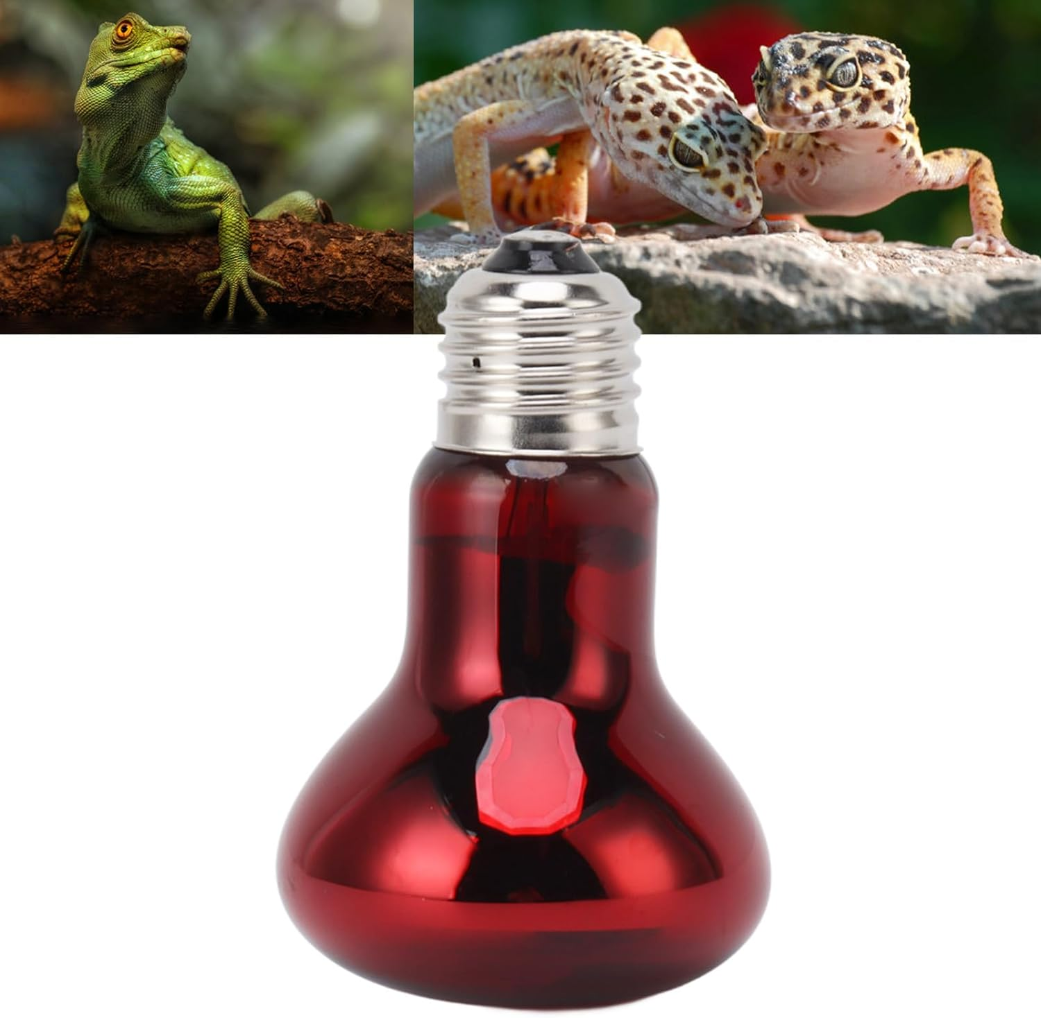 Red Reptile Heat Lamp Bulb E27 UVA Amphibian Basking, Daylight Heating Lamp Bulb and Night Heater for Snakes Lizard (75W)