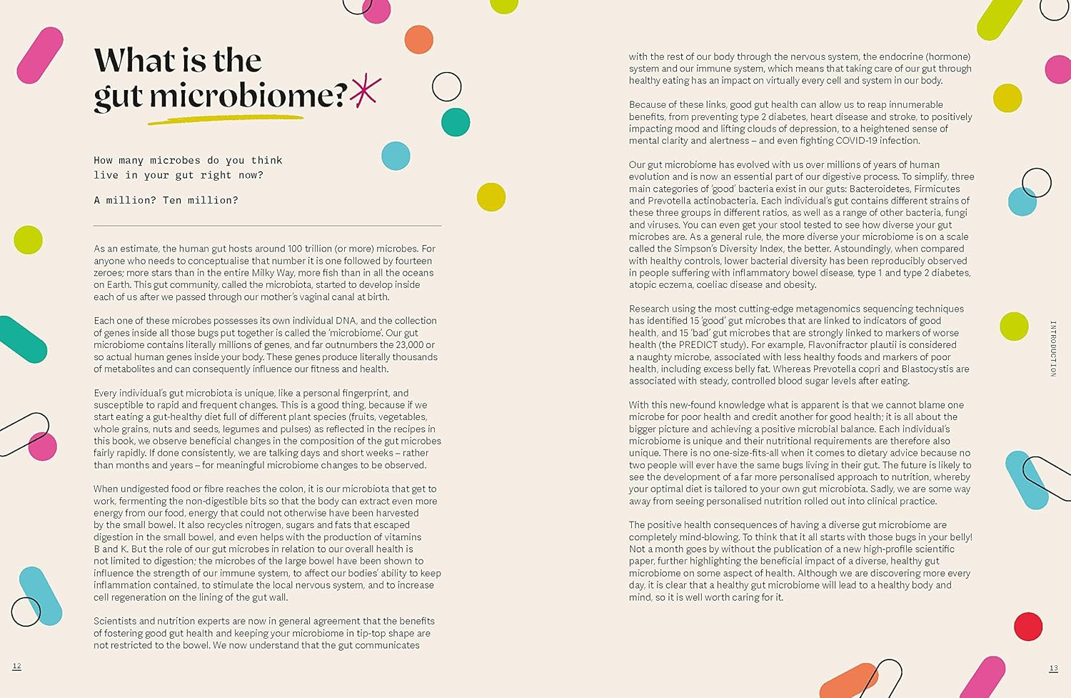 The Kitchen : the SUNDAY TIMES BESTSELLER: 101 Delicious Everyday Recipes to Revolutionise Your Gut Health