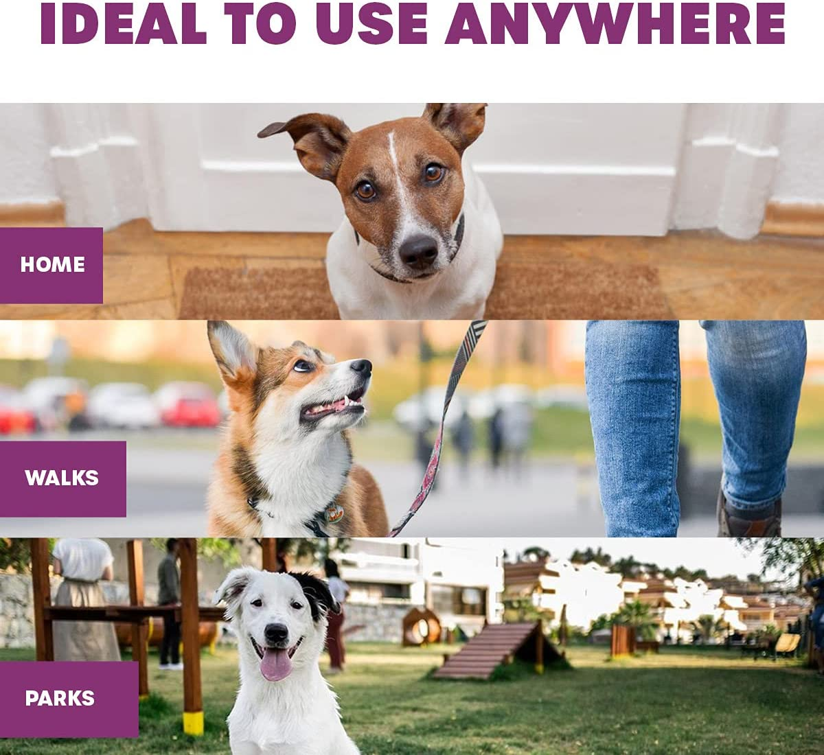 [225PCE] Pet Basic Value PK Dog Waste Poo Clean up Refill Bags Coloured Strong Leak Proof Biodegradable image number 3