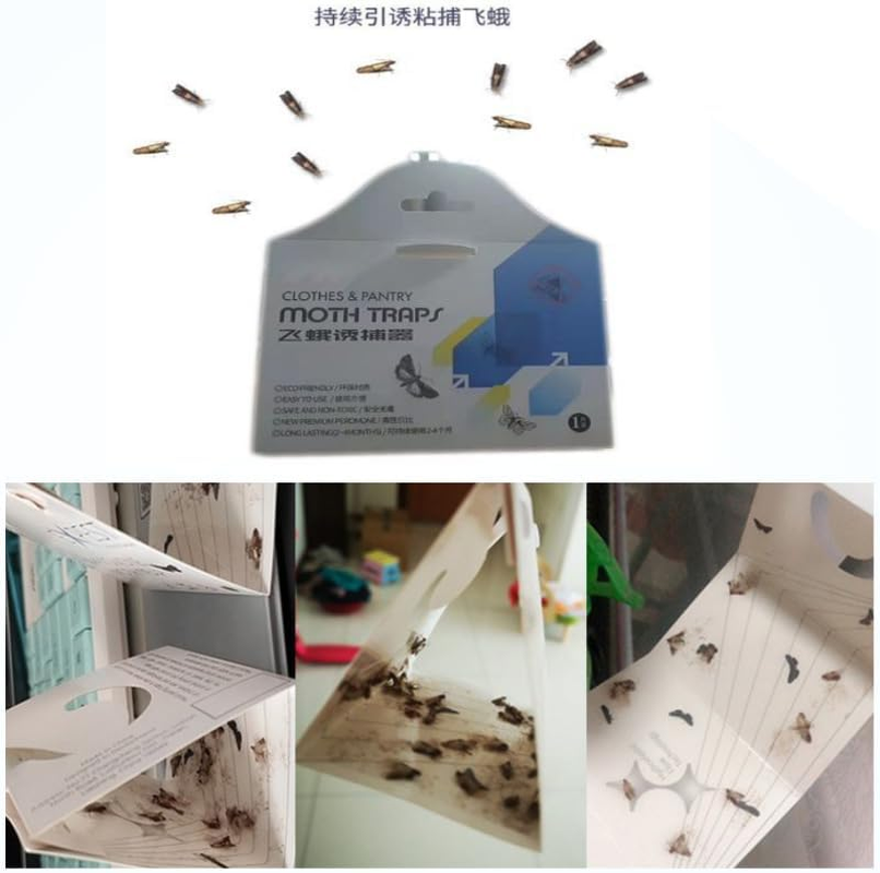 AUPOINT 4 Pack Clothes & Pantry Moth Traps, Pheromone Moth Killer, Indoor Efficient and Safety Non-Toxic Sticky Glue Traps image number 3