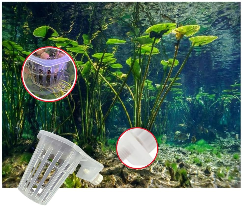GYWHOOFT 2Pcs Aquarium Plant Holder,Hanging Aquarium Planter Cup， Hanging Aquarium Planter Cups with Hook, Aquarium Plant Baskets for Fish Tank Aquarium Hydroponics & Aquatic Plant （Hexagon） image number 1