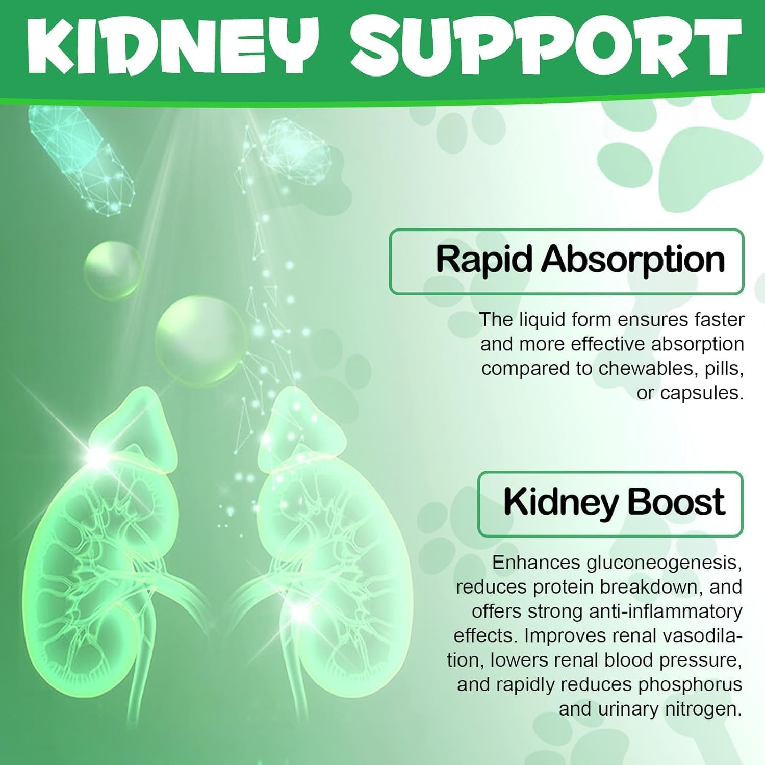 Kidney Support for Cats | Herbal Supplement for Urinary Health | Helps Maintain Normal Kidney Function & Fluid Balance | Liquid Drops for All Breeds & Ages | Chicken Flavour | 60Ml image number 3
