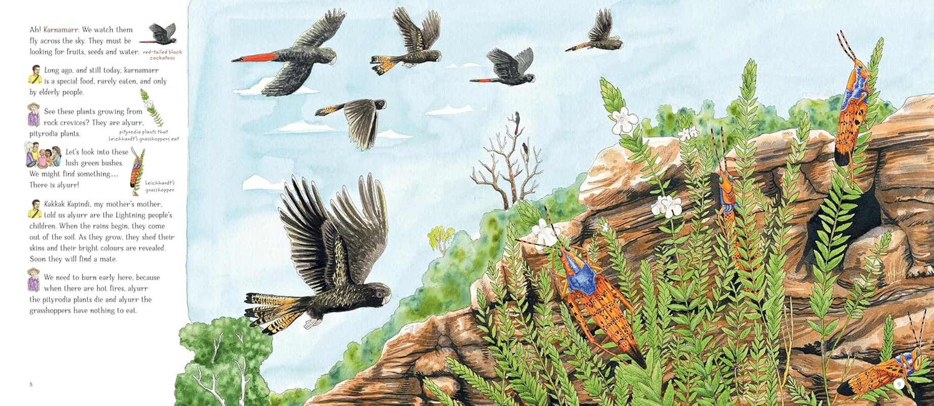 Walking the Rock Country in Kakadu: Karrire Kundenge Karribolknan Kunwarddehwardde