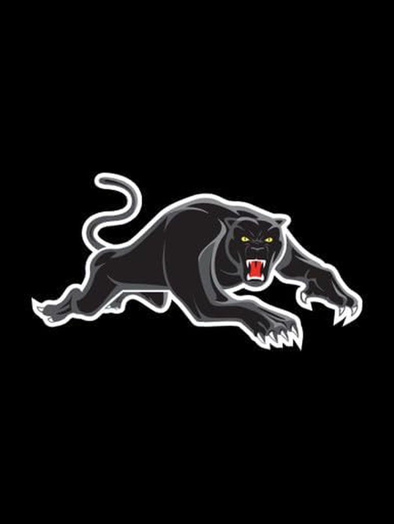 Sperling Penrith Panthers Official NRL Seat Cover and Steering Wheel Cover Combo image number 1