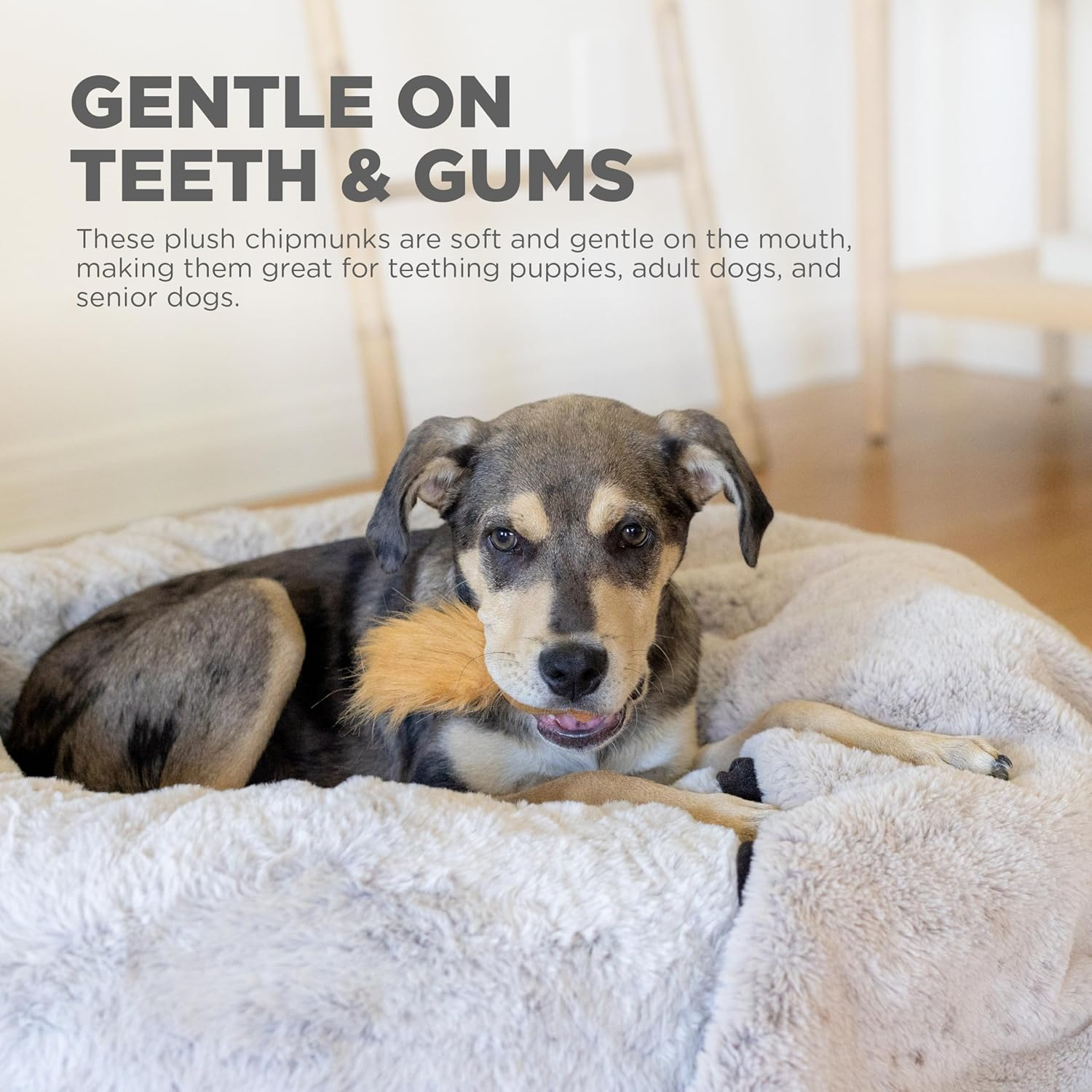 Outward Hound Nina Ottosson Plush Replacement Chipmunk Toys for Snuffle N' Treat Dog Ball Puzzle - 3 Pack image number 4