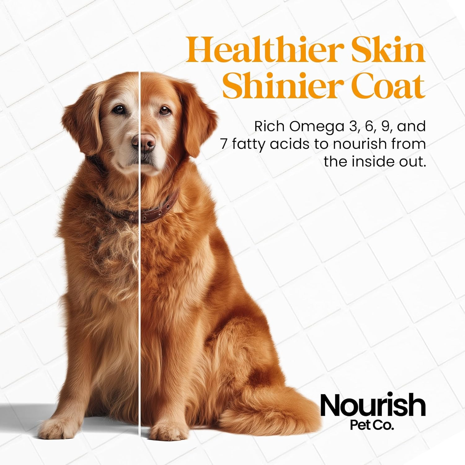 Nourish Pet Co. Mega Oil for Dogs - Plant-Based Omega 3 6 and for Healthy Skin & Shiny Coat 6.76 Oz image number 4