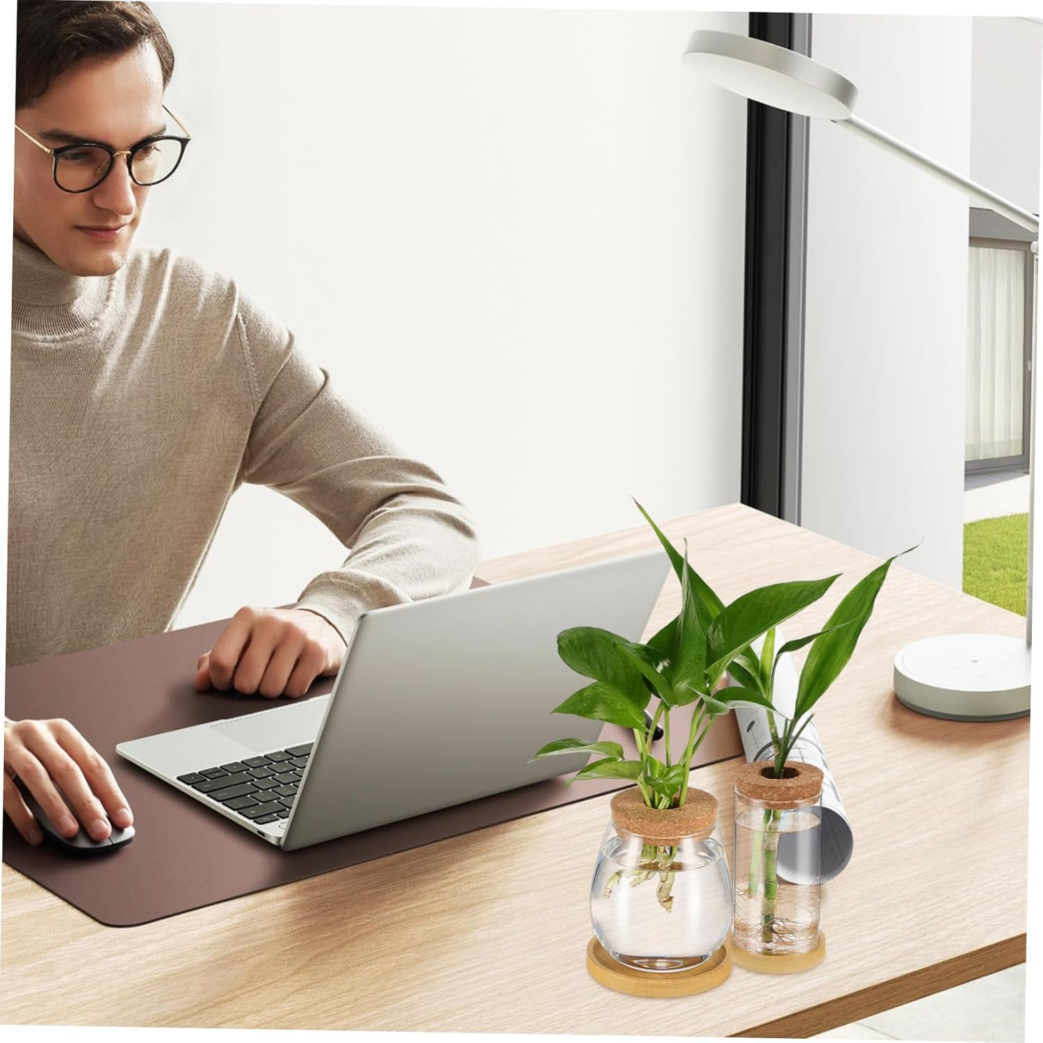 2Pcs Hydroponic Plant Vase Glass Terrariums Cork Lid Propagation Vases for Indoor Water Planter for Seedling Pots and Gardening Supplies image number 6