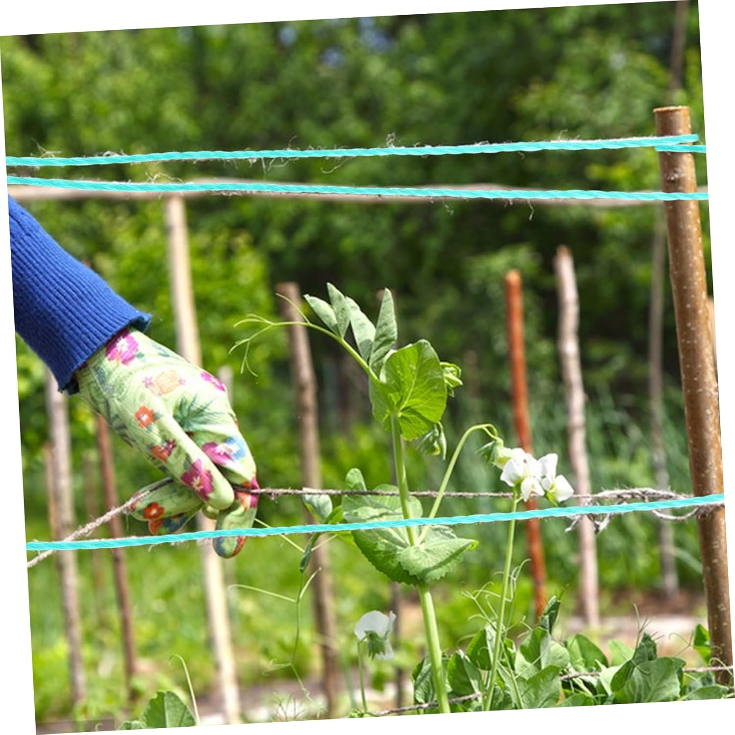 CANIGHT Garden Twine String for Climbing Plants 18-Strand Green Twine Rope for Gardening Supplies Sturdy and Multi-Use Plant Ties for Vegetables and Vines image number 3