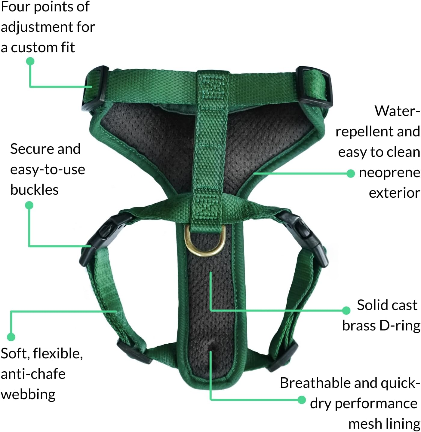 DJANGO Adventure Dog Harness - Stylish and Durable Medium Dog Harness for Outdoor Adventures and Everyday Wear - Forest Green Neoprene Adjustable Harness for Dogs with Reflective Piping, Brass D-Ring image number 2