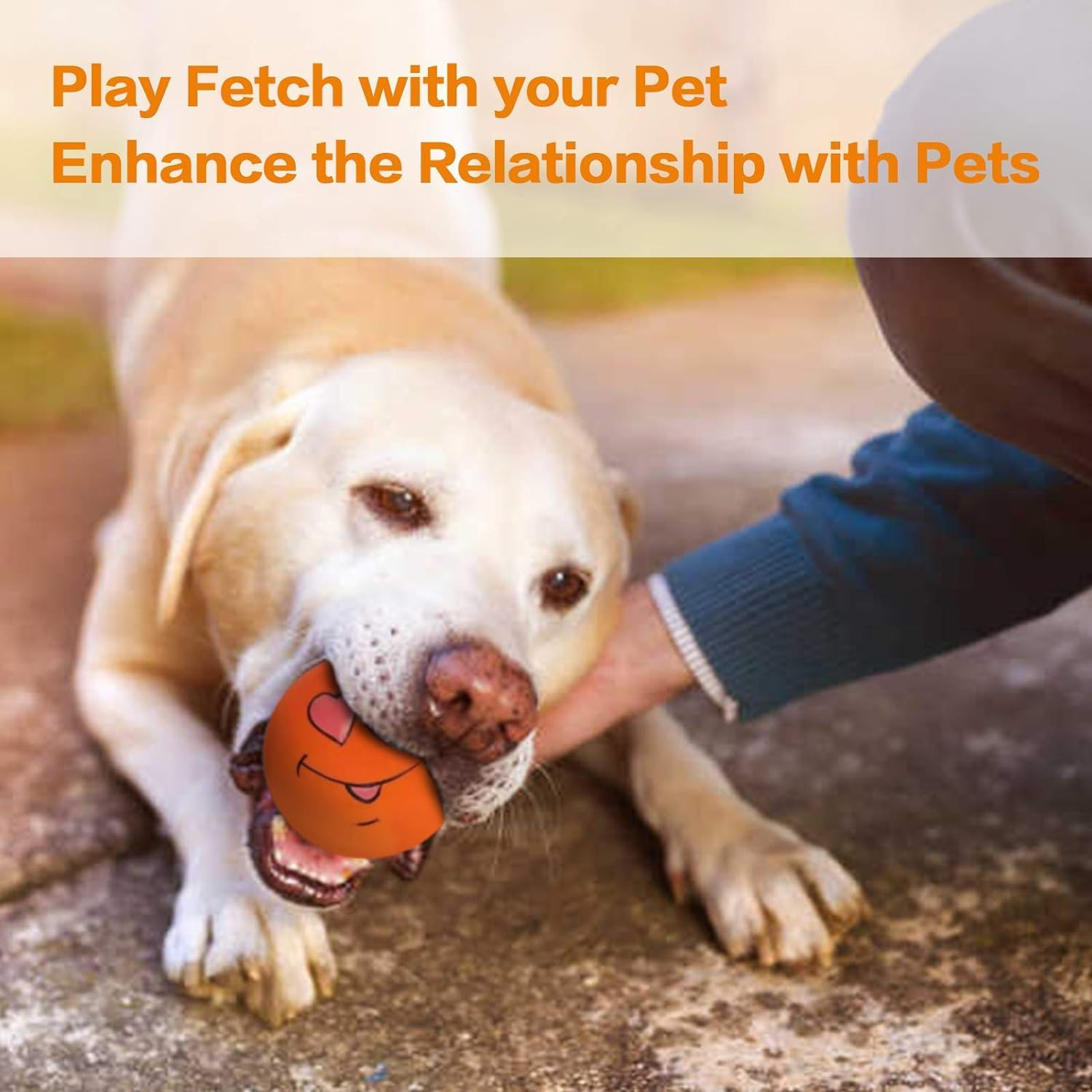 Squeaky Dog Toy Chewing Dog Toys Durable Teething Latex Rubber Soft Interactive Fetch Play Dog Balls with Funny Face for Puppy Small Medium Pet Dog (5PCS) - Same Face image number 5