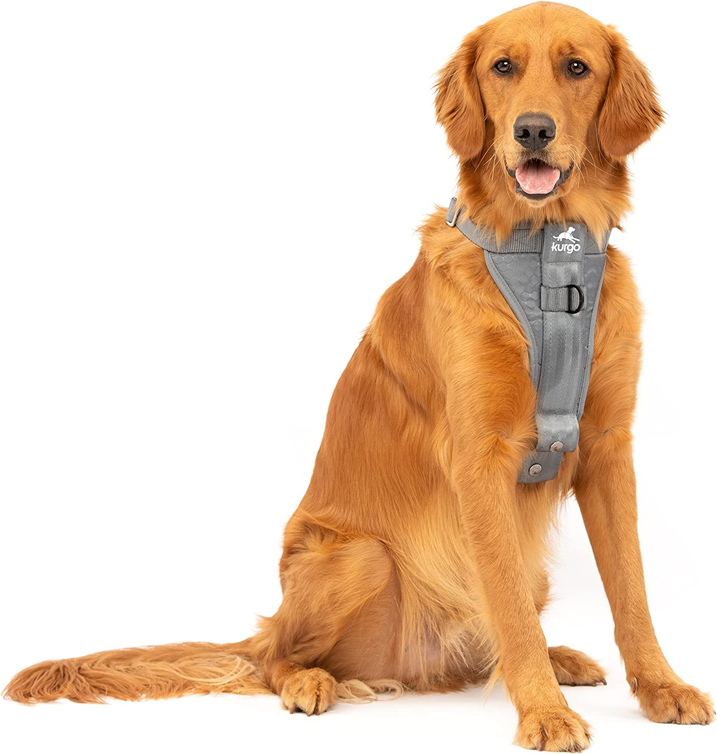 Kurgo Enhanced Strength Tru-Fit Smart Dog Harness, Deep Violet, Small - Crash Tested Car Safety Harness for Dogs, No Pull Dog Harness, Includes Pet Safety Seat Belt Tether, Steel Nesting Buckles