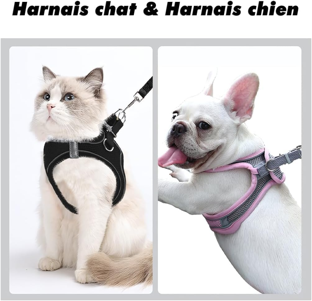 Dog Harness for Small Dogs, Puppy Harness, Cat Harness, Luminous with Lead, Curli Dog Harness, Puppy Accessories (Pink, M) image number 2