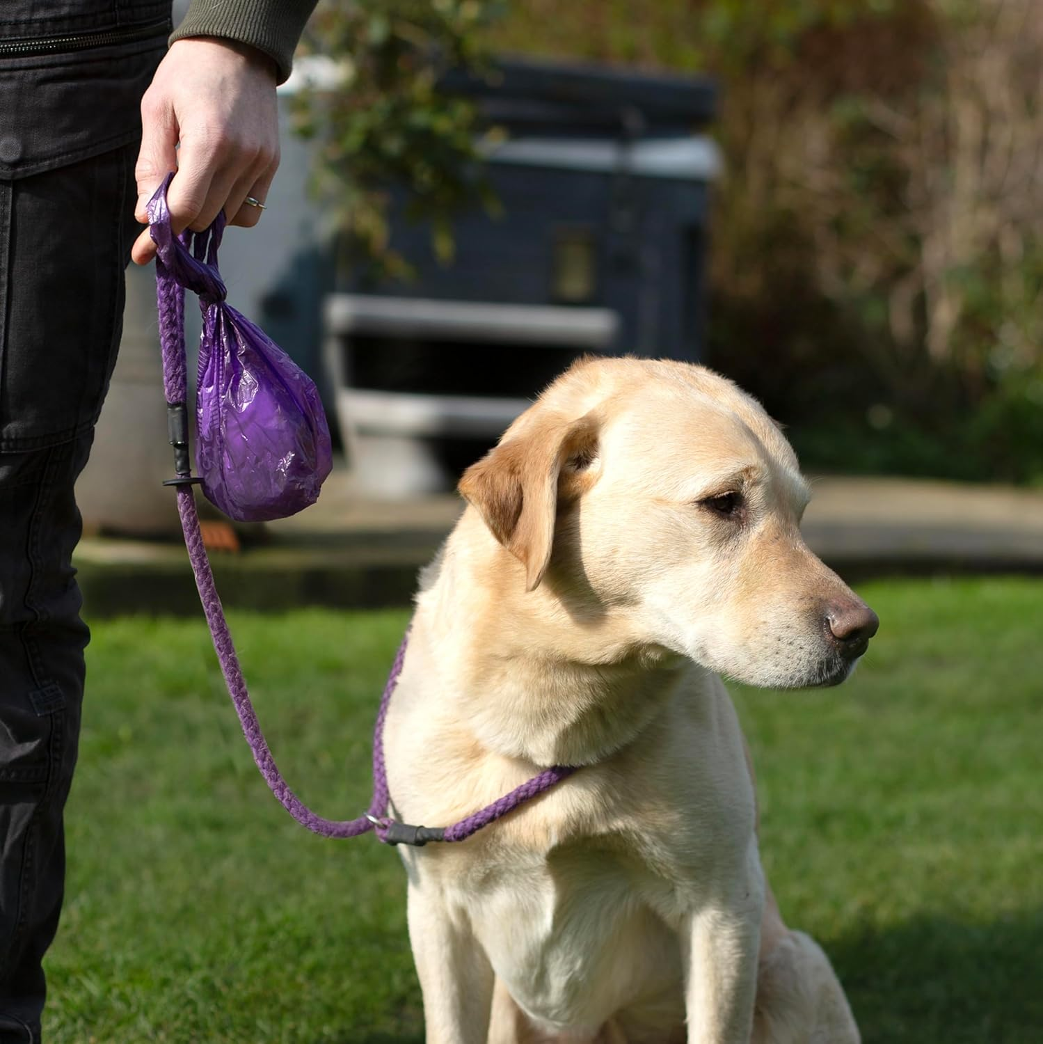 TEDAFUS Dog Poo Bags | 270 Eco Biodegradable Poop Bags | 18 Thick Dispenser Refill Rolls with Tie Handles for Dogs | 15 Strong Bags per Roll | 100% Leak-Proof Unscented Sustainable Sacks (Black) - Purple image number 3