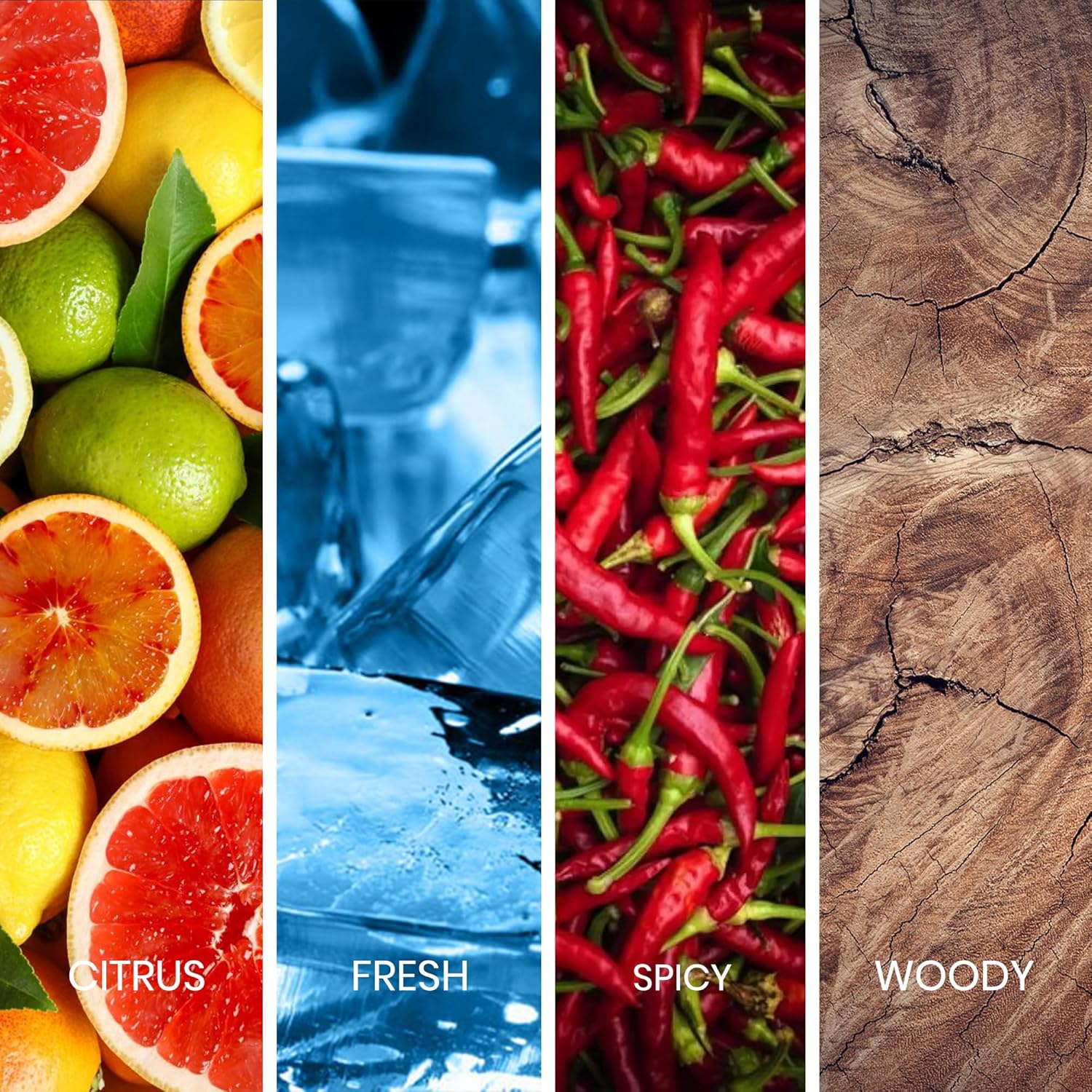 Sapil Solid - EDT Spray for Men - Powerful and Exotic Eau De Toilette - Long Lasting and Addictive Cologne - Opens with Citrus Notes - Perfect for Date Night or Evening Out - 3.4 Oz image number 3