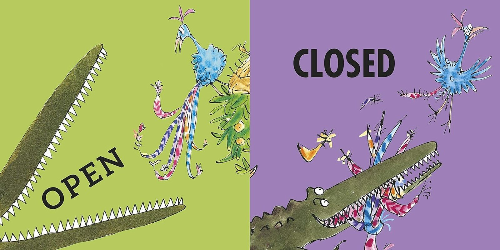 Roald Dahl'S Opposites: (Lift-The-Flap) image number 2