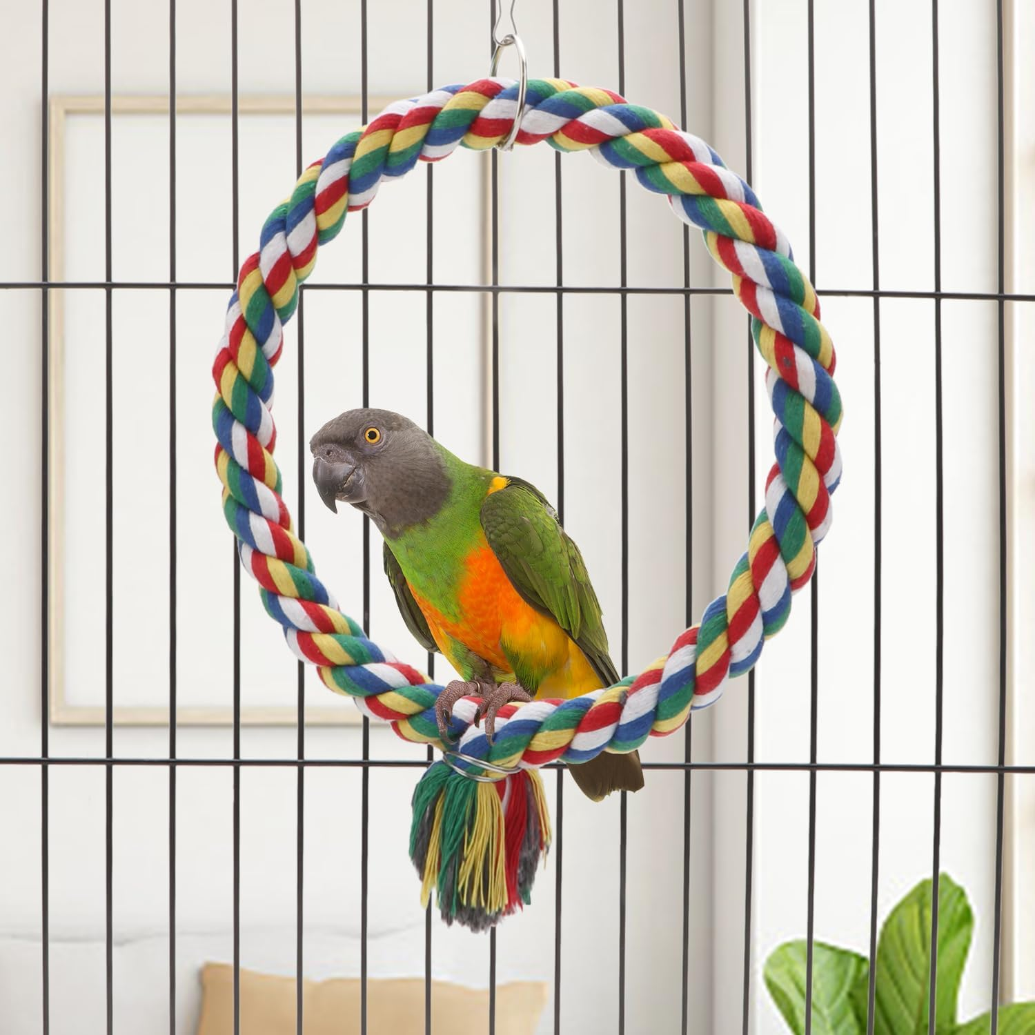Bird Rope Swing Colorful Perch Climbing Toy for Parrots Budgie Parakeet Cockatiel Cockatoo Conure (S (7.5 Inch) image number 1