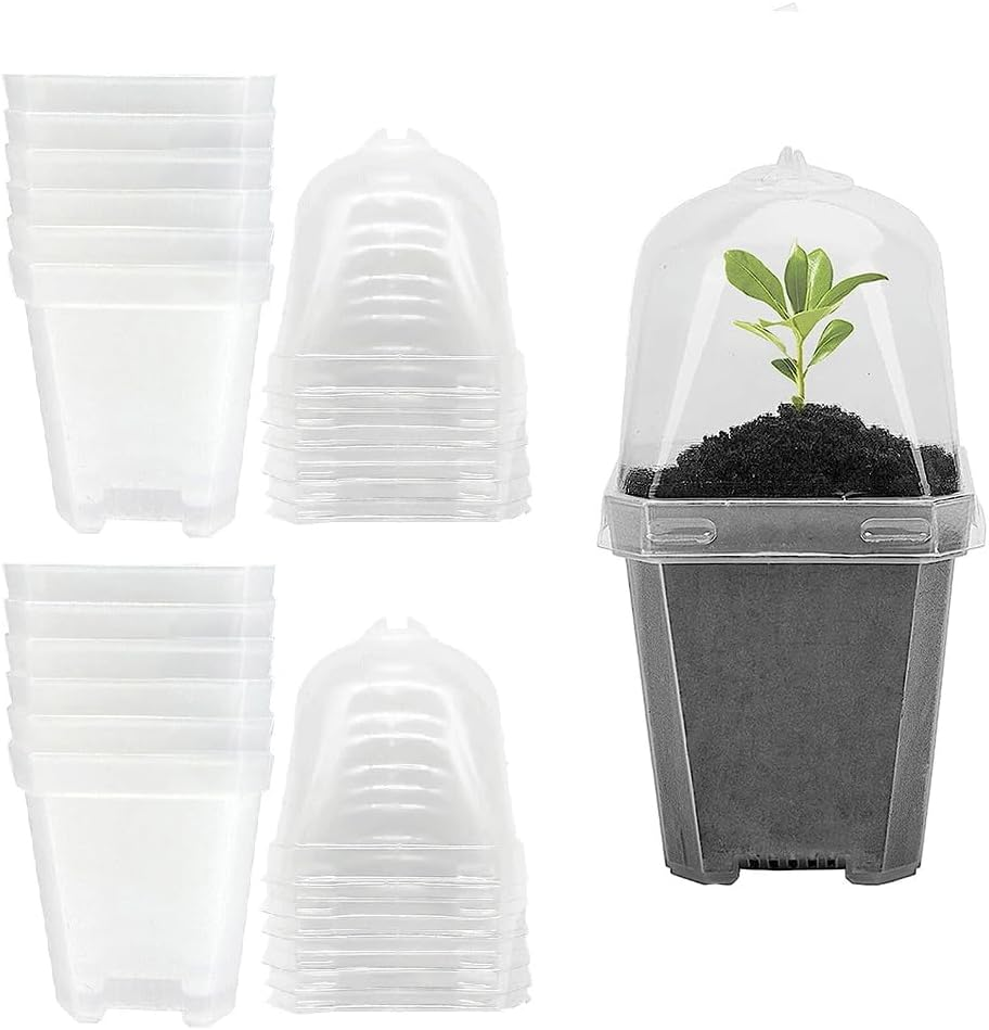 Sagasave 12 Sets Plants Nursery Pot, 15.5Cm Plastic Square Nursery Flower Pots with Humidity Dome and Tray, Small Flower Plant Container for Seedlings, Cuttings, Transplanting (Transparent)