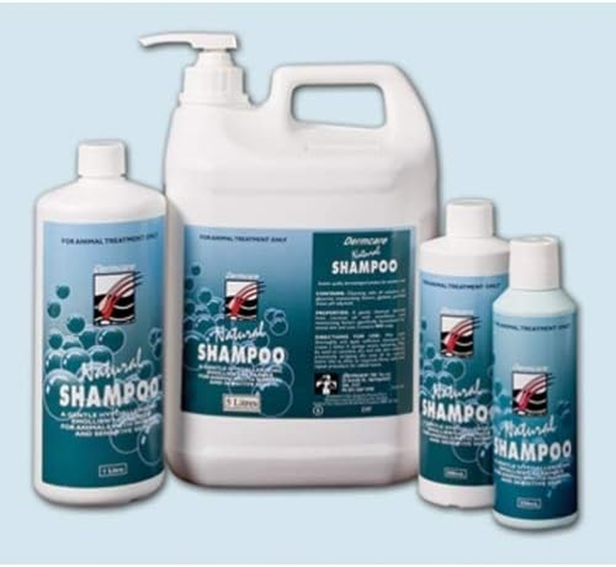 DERMCARE NATURAL SHAMPOO 1L