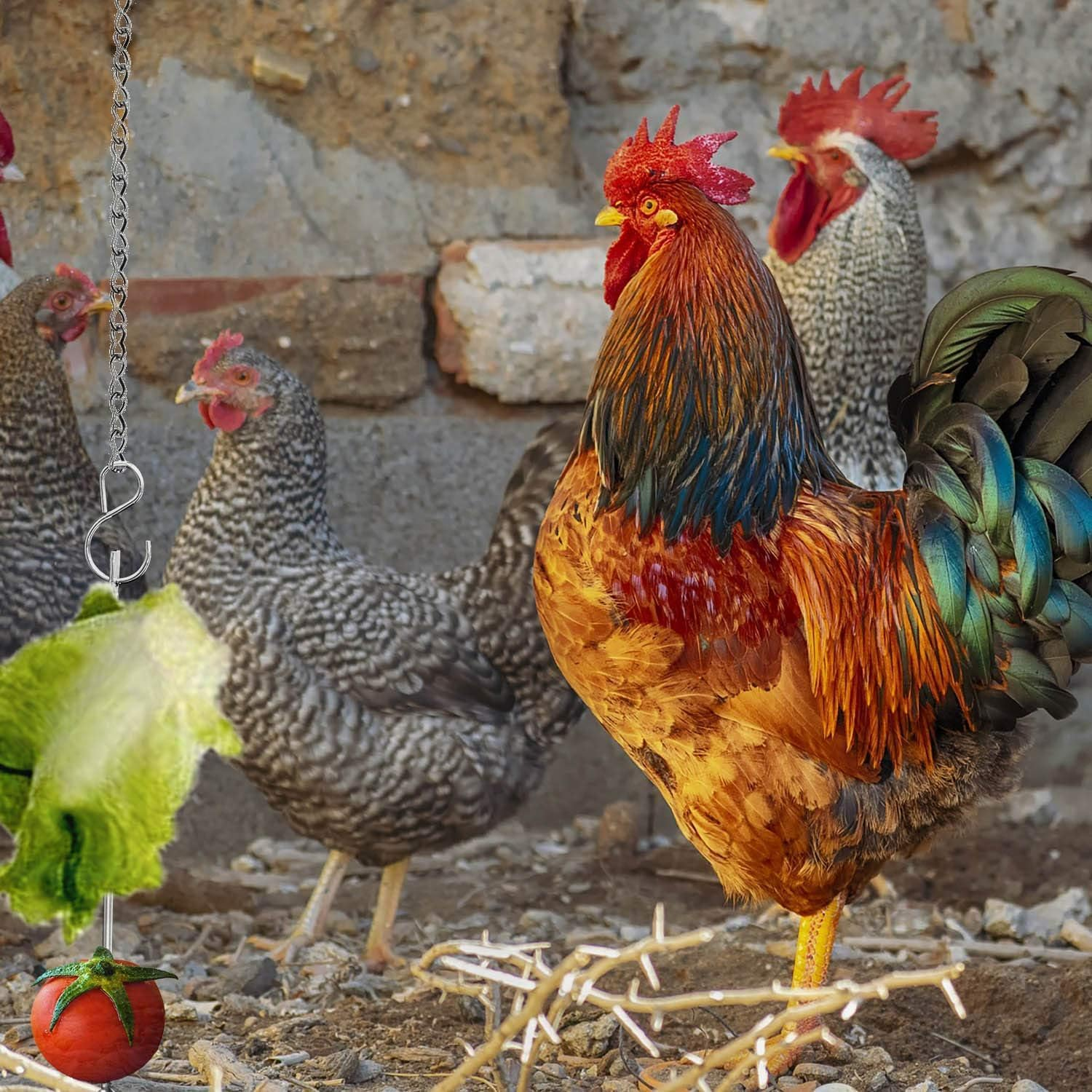 Chicken Veggies Skewer Vegetable Hanging Feeder Fruit Feeder for Hens Large Birds Pet (Stainless Steel, One Size) image number 3