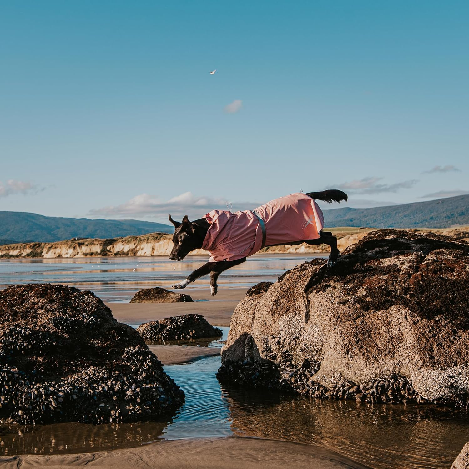 Huskimo Peak Dog Waterproof Raincoat, Dusty Pink, 33Cm image number 3