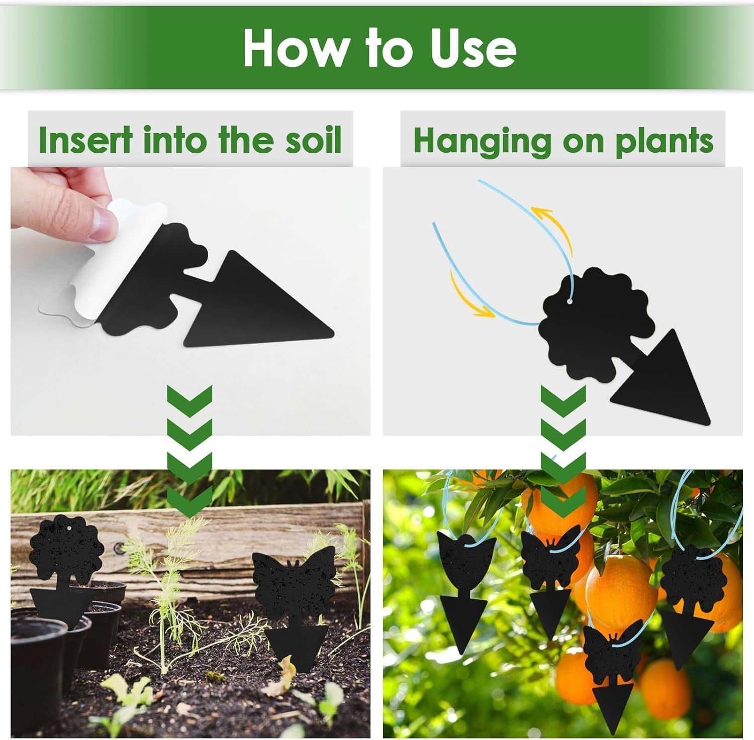 50 Pcs Fruit Fly Traps,Sticky Traps,Fungus Gnat Traps,Black Sticky Bug Traps Non-Toxic and Odorless for Indoor Outdoor Use Protect the Plant image number 1