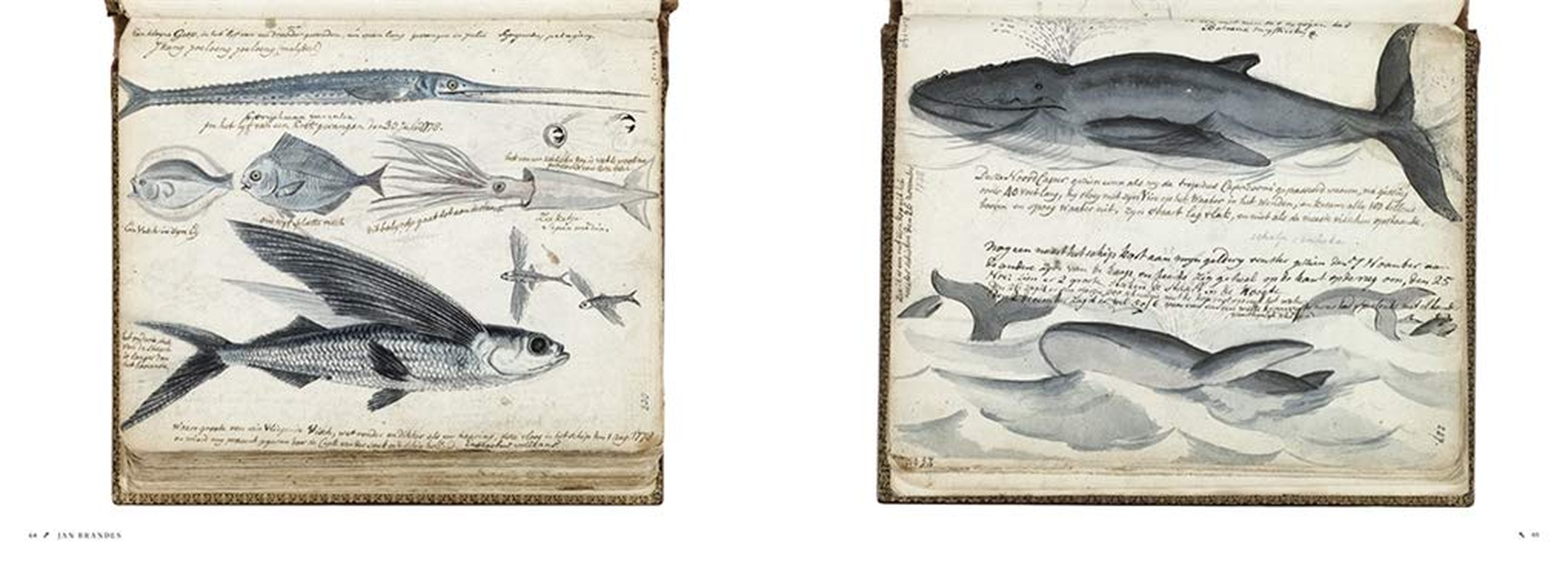 Explorers' Sketchbooks:The Art of Discovery & Adventure image number 2
