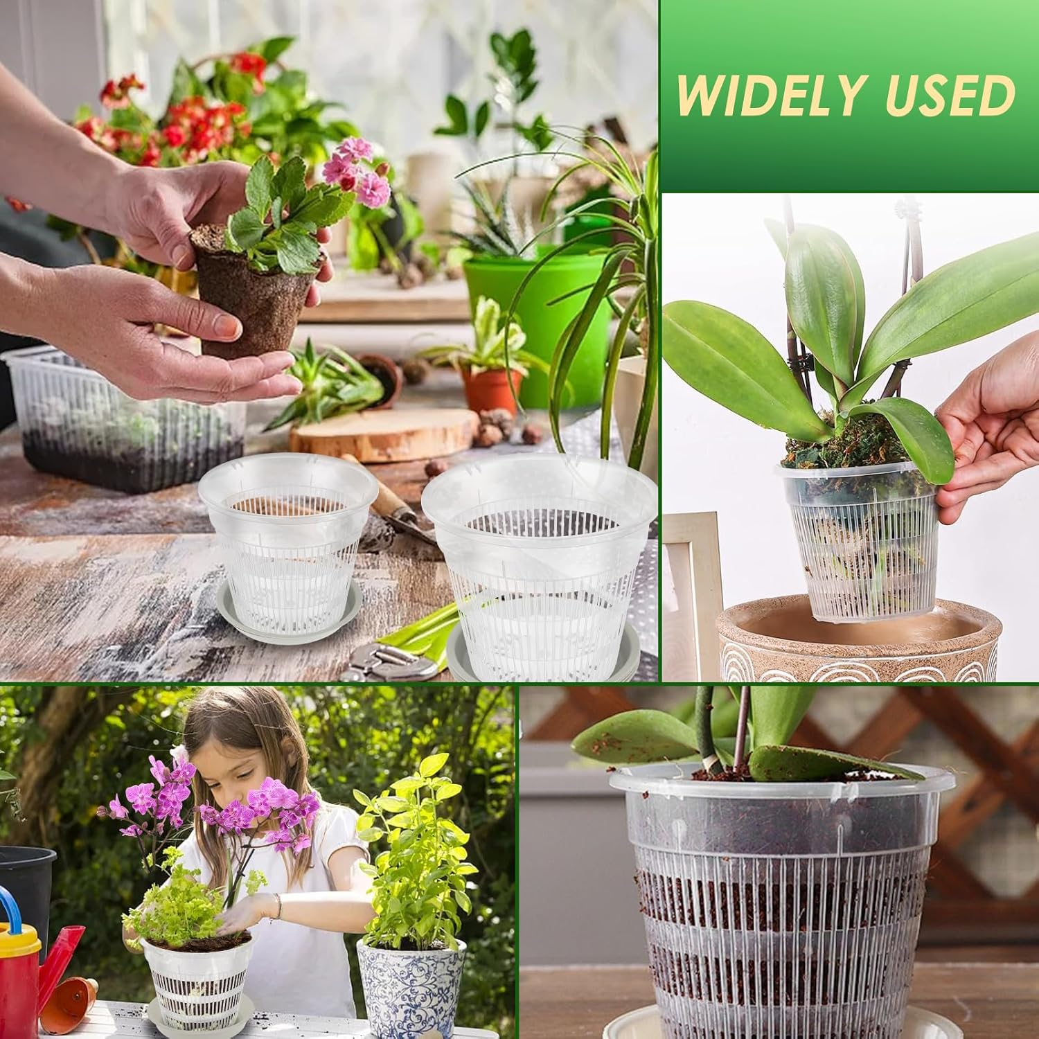Fwqofvk 15Pcs Plastic Clear Orchid Pot for Root Health, 3 Sizes Orchid Repotting Pot with Hole and Saucer, Breathable Slotted Pot Flower Plant Pot for Small Plants image number 6