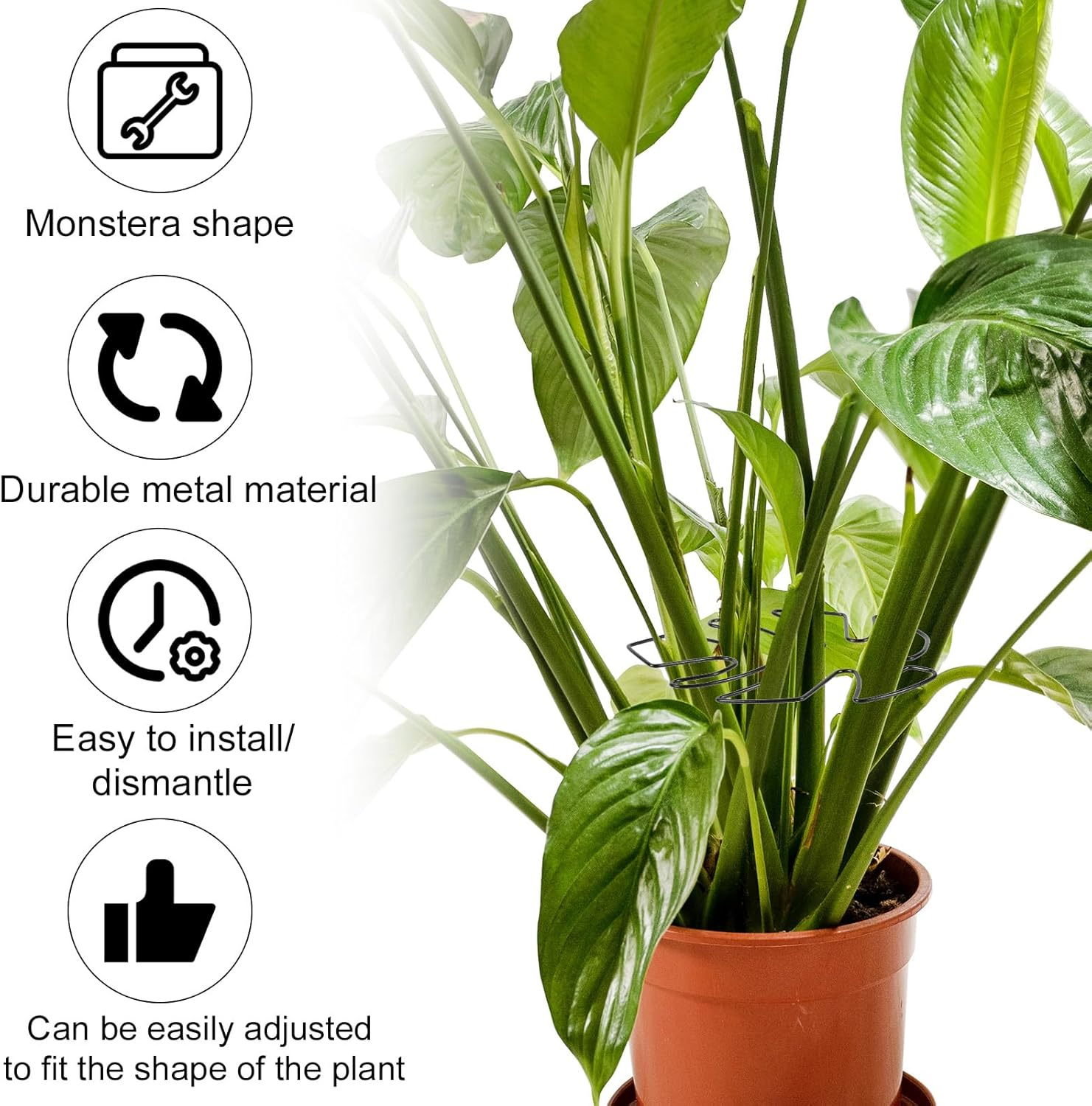 BOXOB Pack of 2 Plant Supports for Monstera Leaves, 2 Sizes Hooks to Support Climbing Plant Stems, Ideal Plant Support Monstera for Thriving Plant Growth (Black)