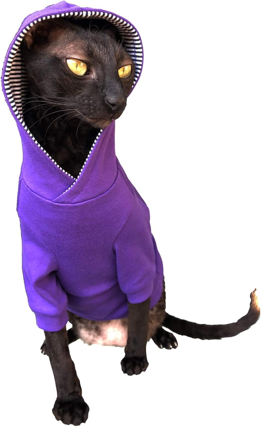 Kotomoda Sphynx Cat Hoodie Naked Cat Hairless S