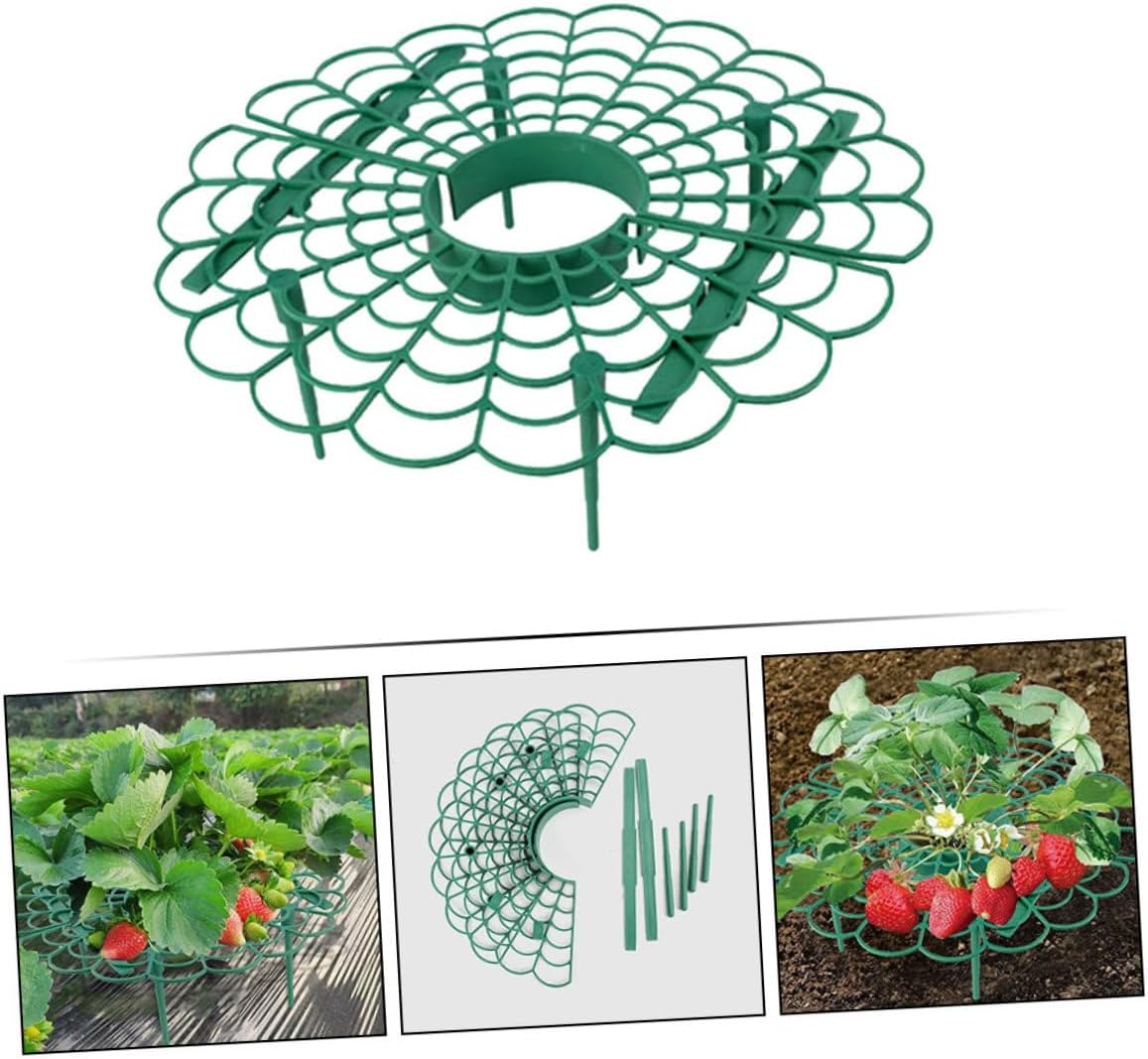MINAOLULUS 6Pcs Strawberry Support Rack Strawberry Holder for Improved Air Circulation for Balcony Gardening and Plant Growth image number 6