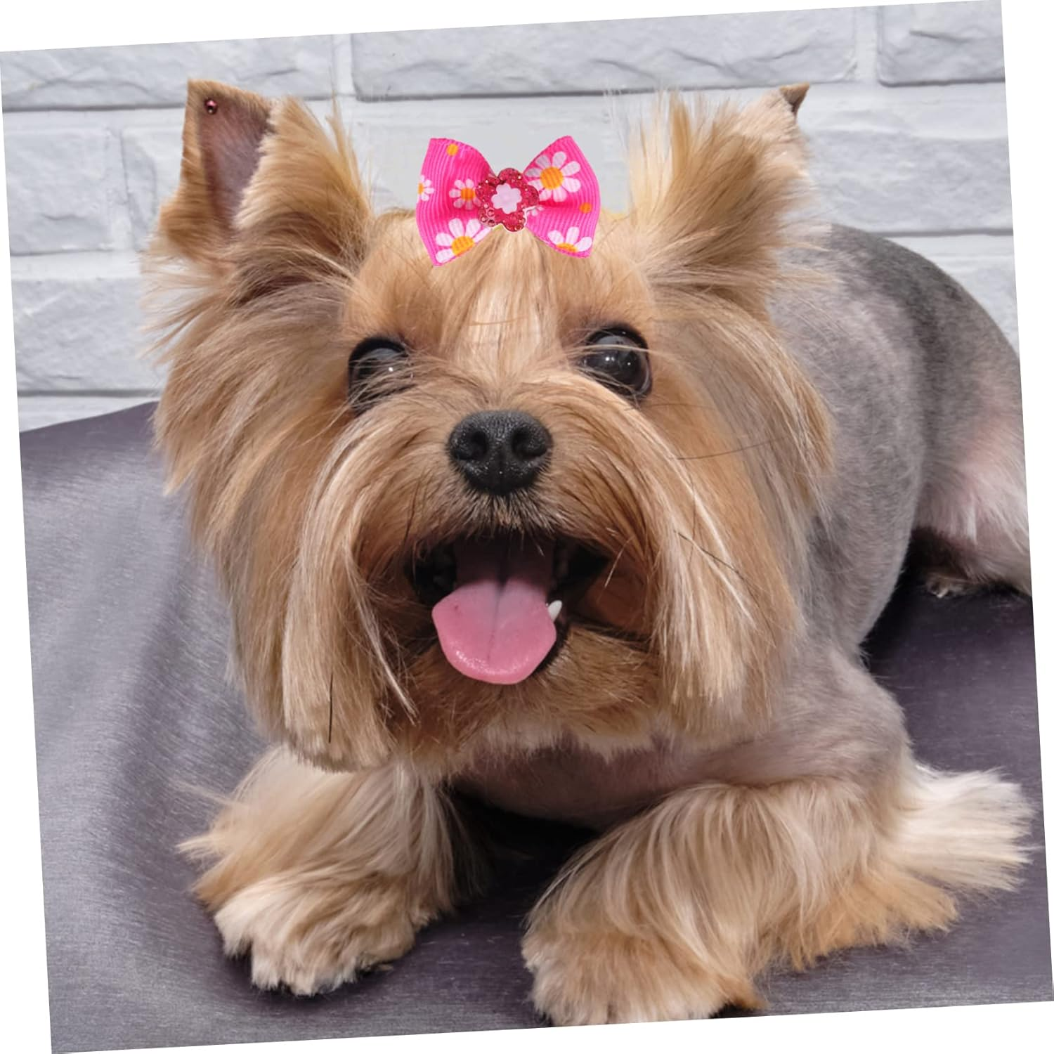 Kisangel 50Pcs Multicolor Dog Bows with Rubber Bands for Dogs and Cats Comfortable Elastic Hair Accessories for Pet Grooming and Decoration image number 6