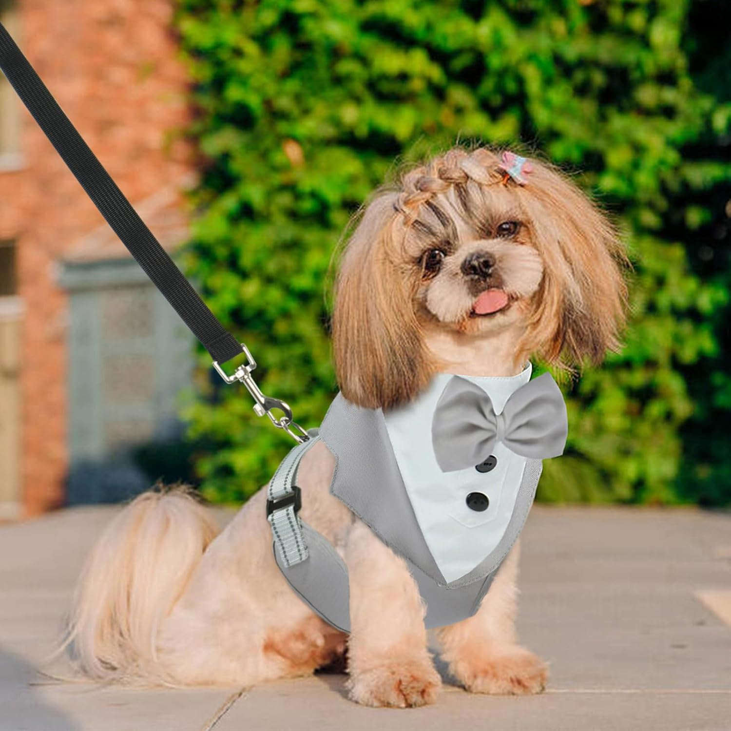 BRKURLEG Dog Vest Tuxedo Harness, Adjustable No Pull Tuxedo with Leash, Dog Wedding Party Suit with Bow Tie for Small Medium Dogs, Pet Costume Outfit for Birthday Christmas Halloween, Grey, M image number 3