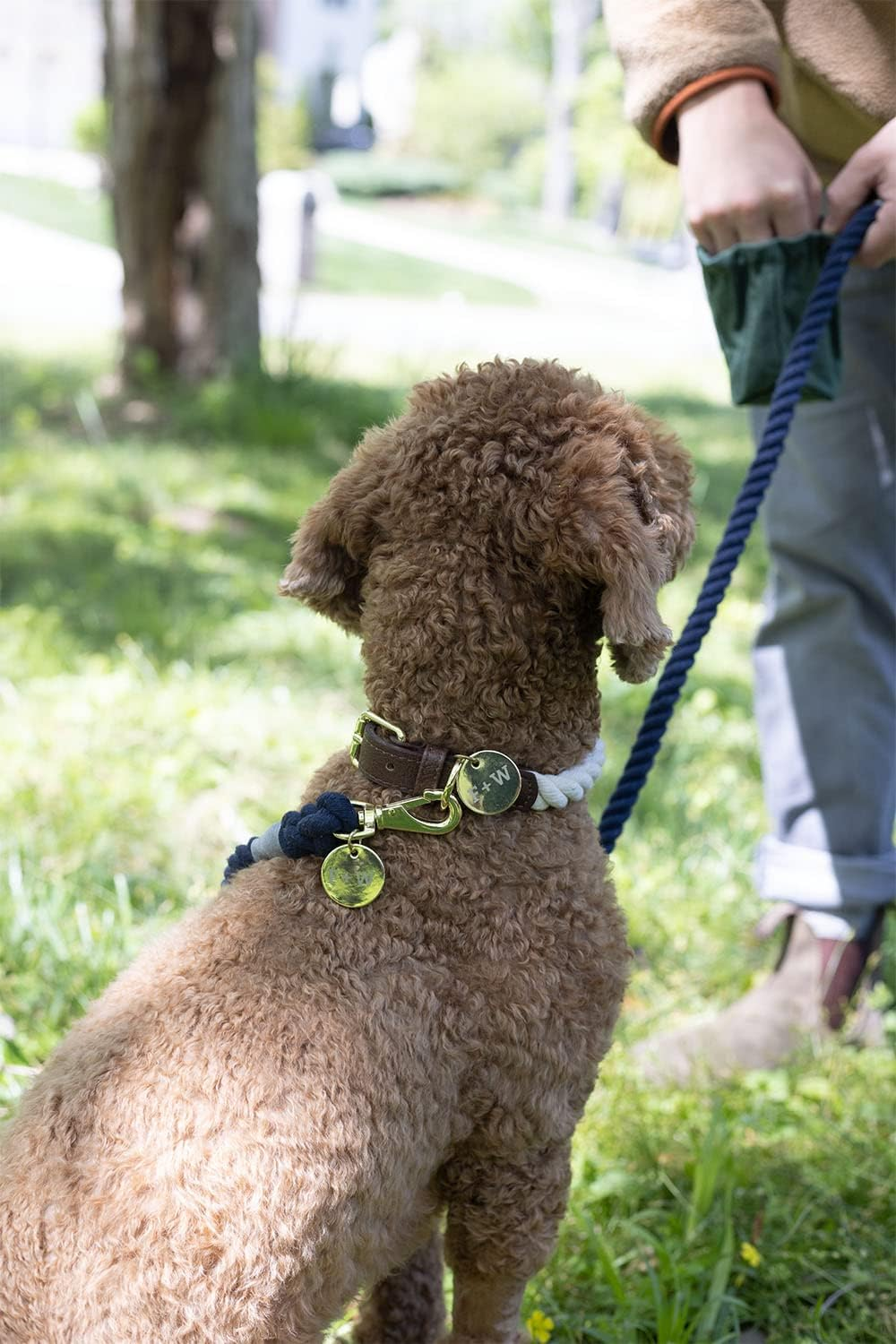Field and Wander Small Rope Dog Collar - Natural Cream