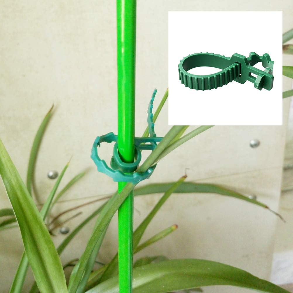 Zhiye Tree Ties Straps Supports, Heavy Duty Adjustable Interlock Garden Plants Shrub Ties for Shrub Rose Plant Tree Support 12Pices 9.4Inch image number 4