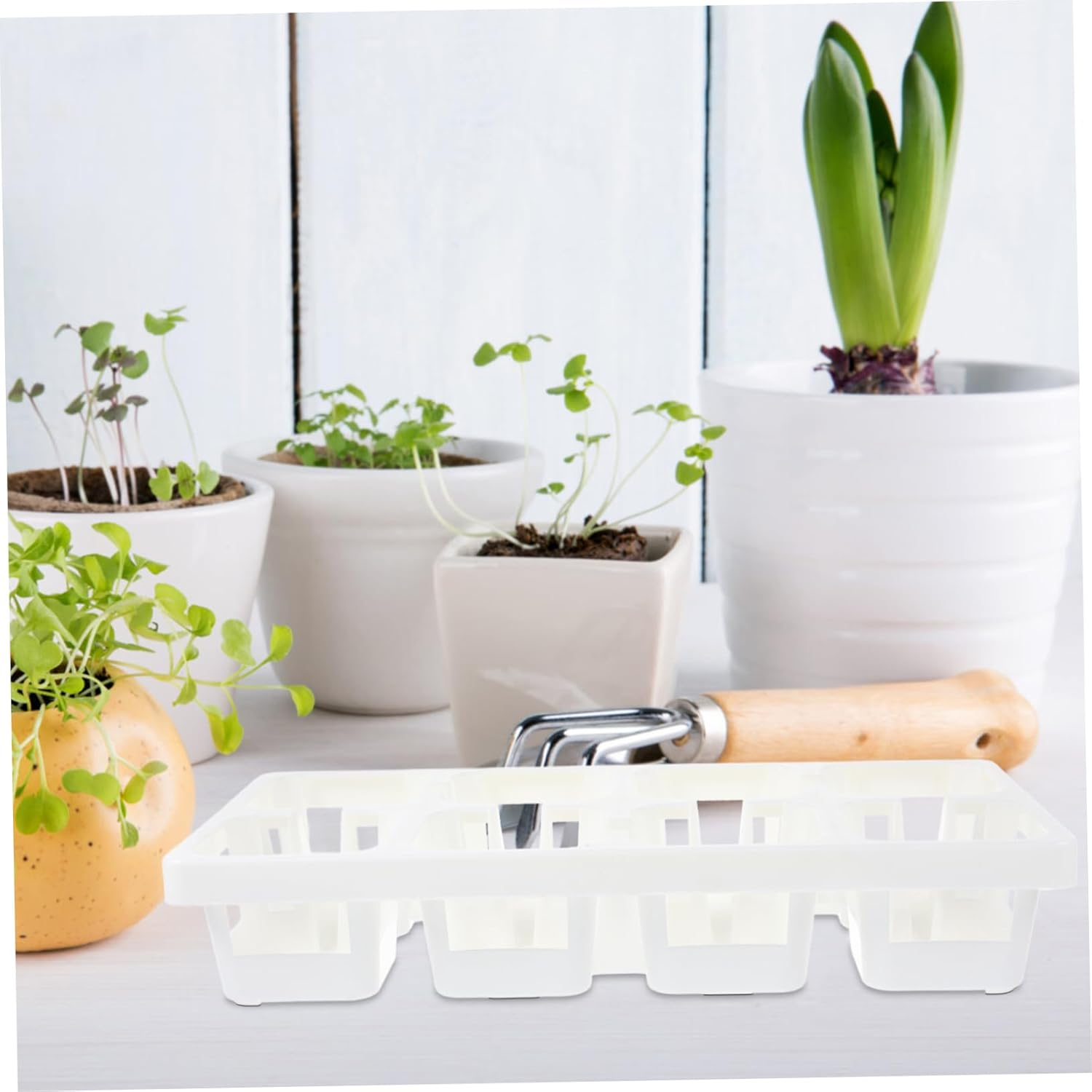 BESPORTBLE 4Pcs Tiny Plastic Planting Tray Rack Succulent Flower Pot Holder Tray Storage for Indoor Outdoor Gardening image number 6
