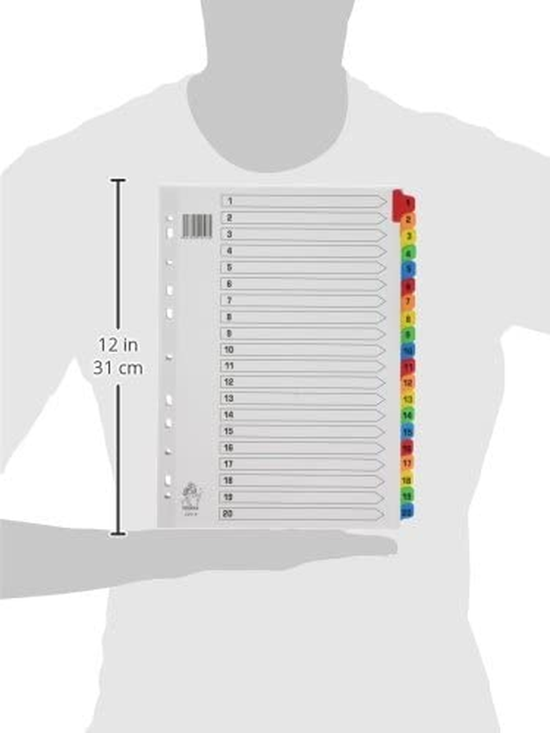Rexel Mylar A4 1-20 Index White Colour Tab