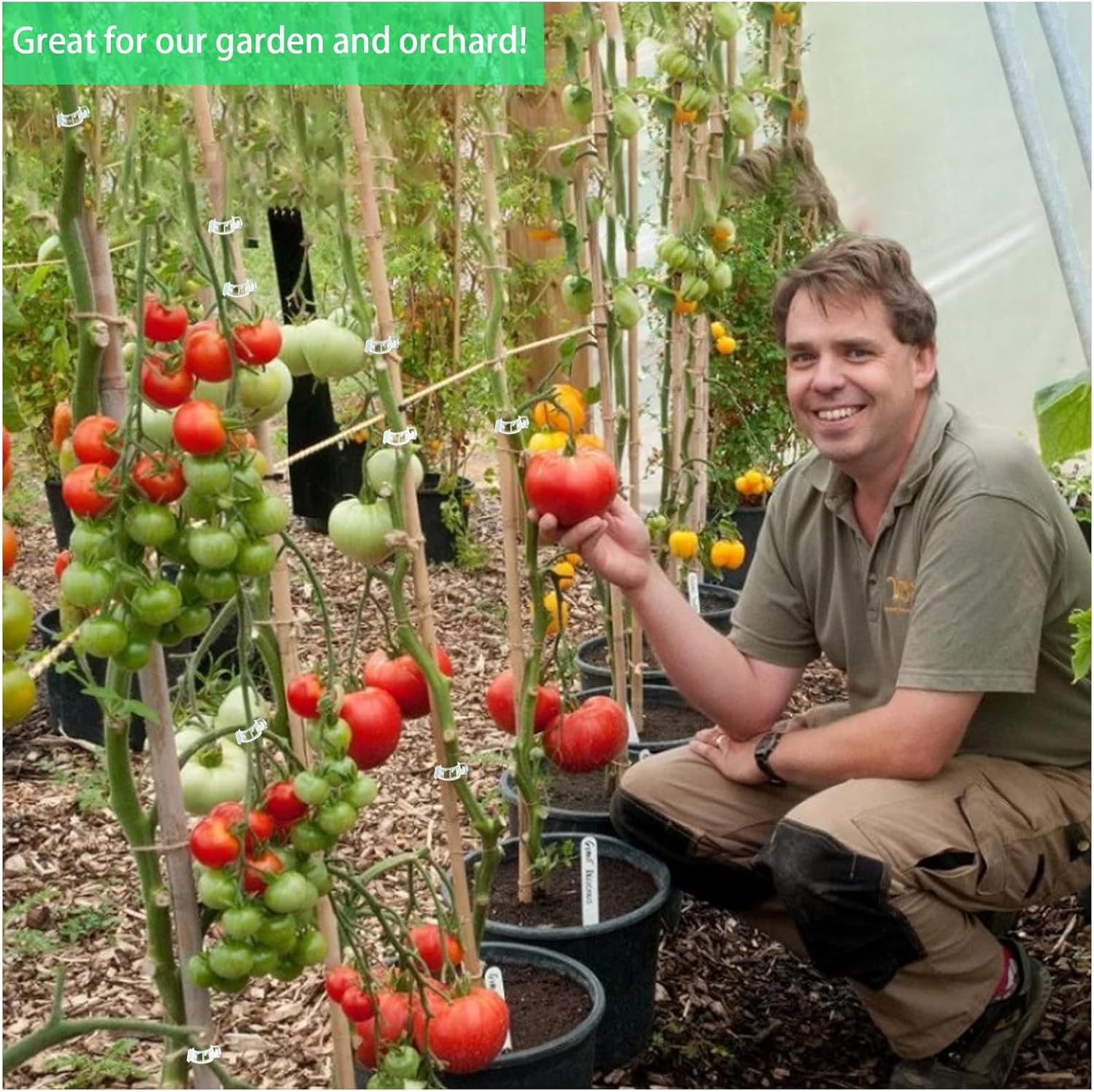 300Pcs Tomato Clips, Plant Clips for Climbing Plants Support Garden for Tomatoes Vines Flower Vegetables Climbing to Grow Upright image number 4