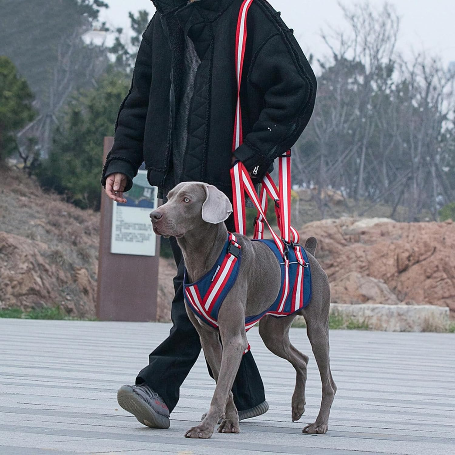 IUOUTG Dog Lift Harness for Large Dogs Adjustable Soft Dog Support Harness Blue Girl Boy Dog Carry Sling Lifts Vest for Old, Disabled, Paralysis Dogs Walk image number 5