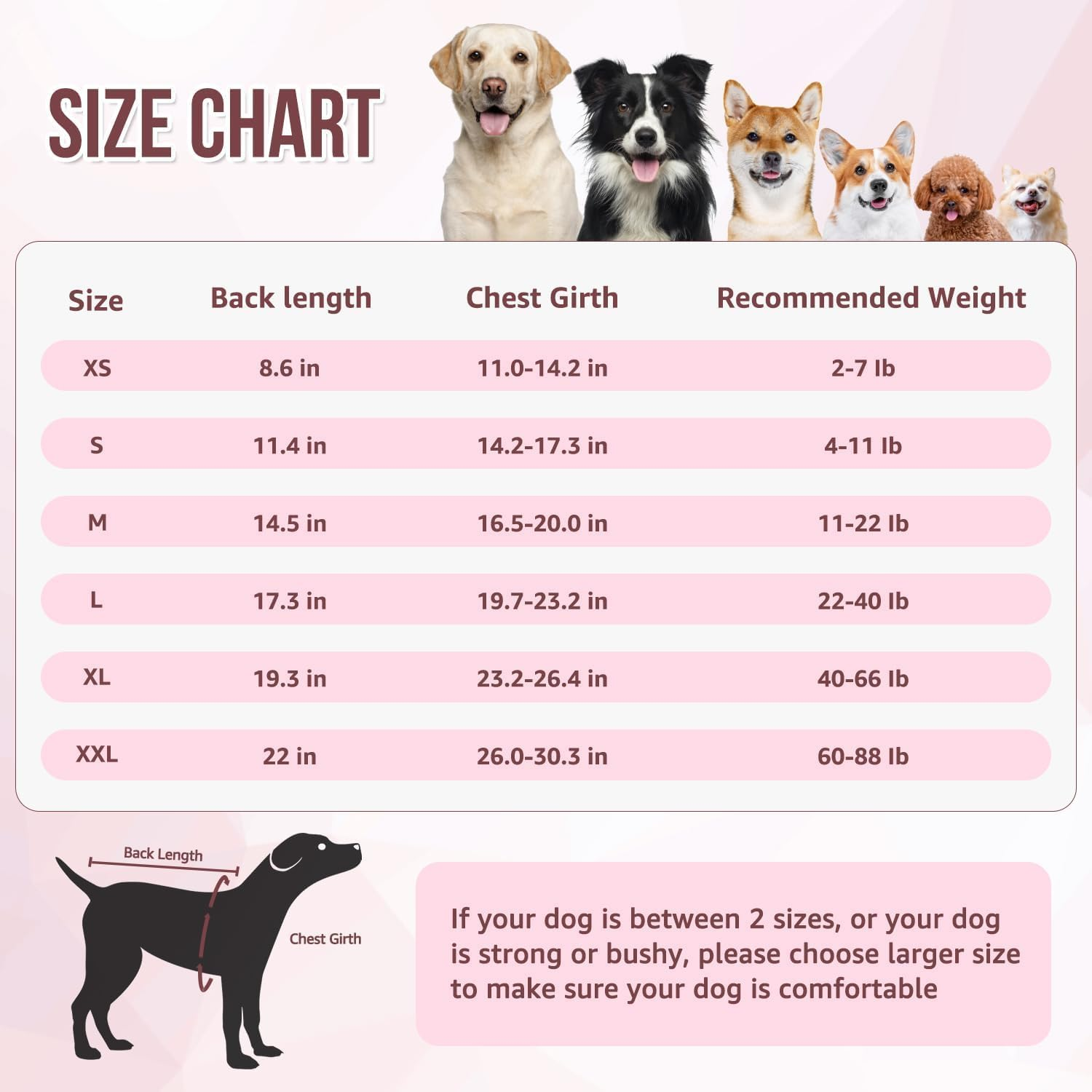 Slowton Dog Surgery Recovery Suit, Dog Cone E-Collar Alternative after Surgery with Zipper Professional Pet Recovery Shirt Abdominal Wounds Bandages Preventing Licking Spay Suit for Female Male Dog image number 3