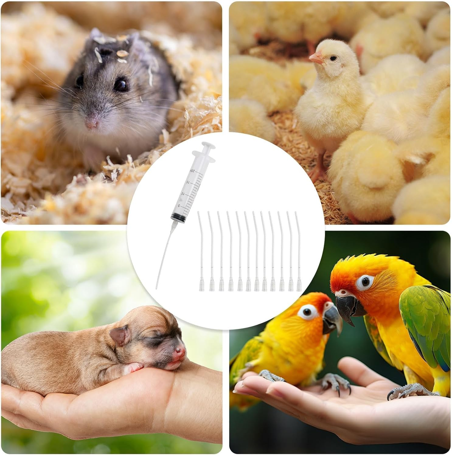 Aiyraa Pack of 12 Syringes with Hose, 20 Ml Syringe Set, Feeding Tool for Young Birds, Parrots, Pigeons, Ideal for Milk, Water, Medication, Easy to Clean