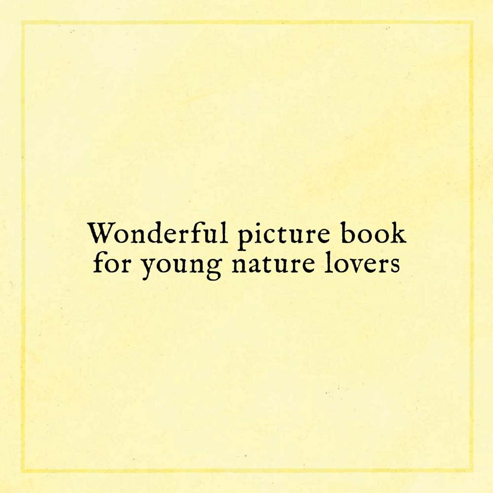 When You Find the Right Rock image number 4