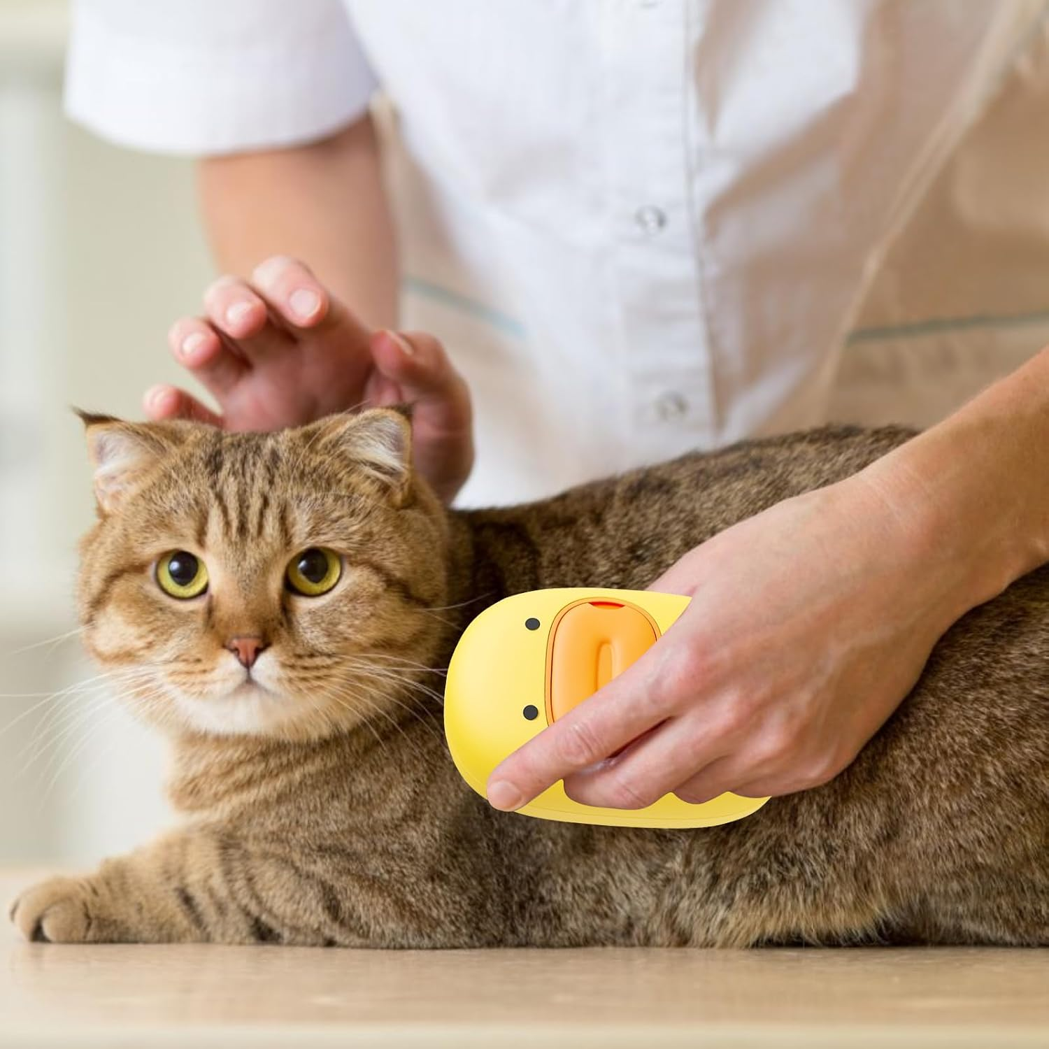 Steamy Cat Brush, Cat Steamy Brush 3-In-1 Cat Steam Brush, Cat Brush with Steam, Steam Cat Hair Brush, Cat Care Brush, Pet Hair Removal Comb for Cat Dog image number 3