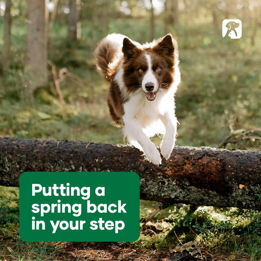 Natural Animal Solutions Joint & Ligament Support - Hip and Joint Supplement for Dogs and Cats. Glucosamine for Dogs Joint Supplement with Chondroitin and MSM, 120G image number 3