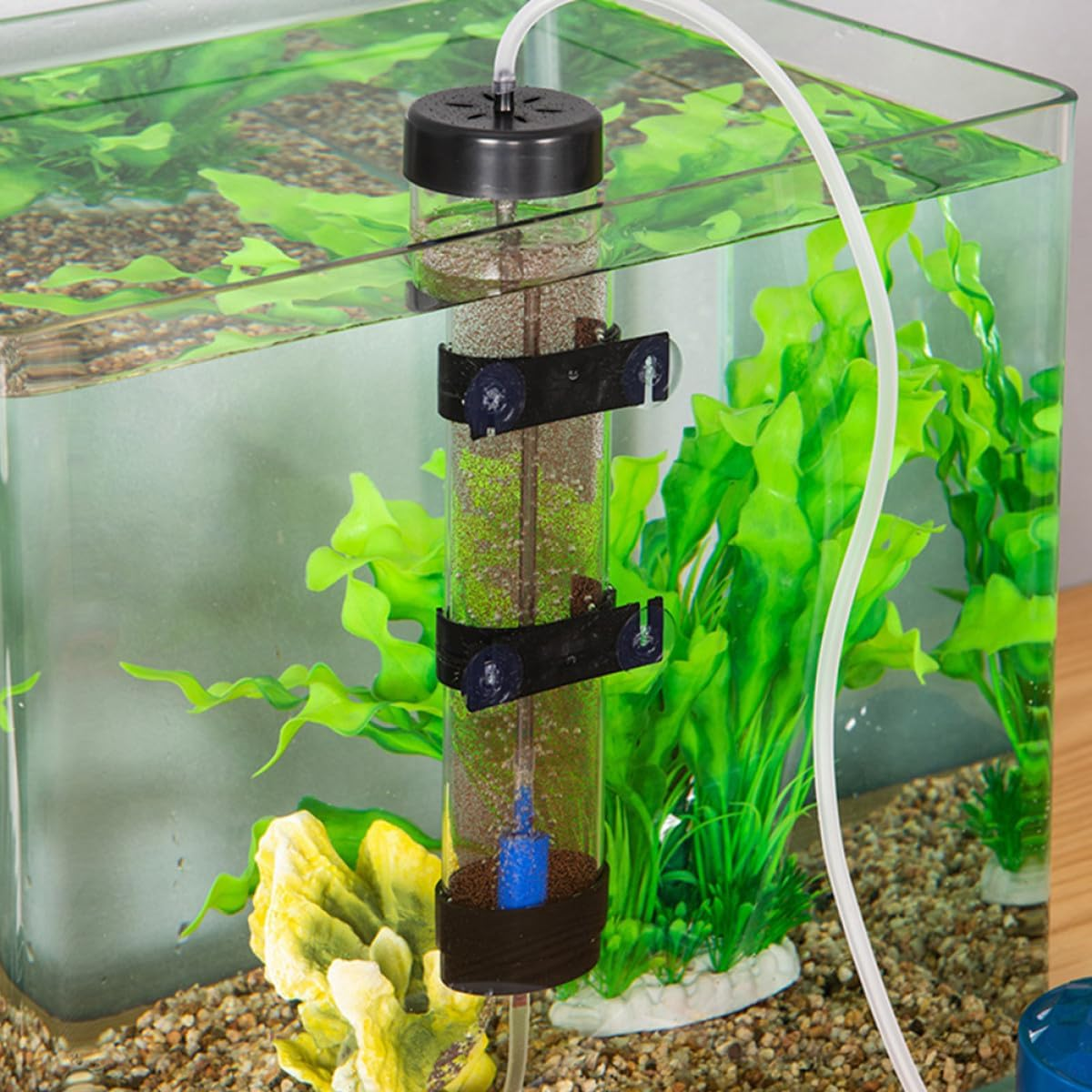 Balacoo Shrimp Egg Incubator Hatching Container Breeding Tank Aquarium Box for Brine Shrimp Eggs with Large Capacity Suitable for Aquatic Pets and Fish Breeding image number 1