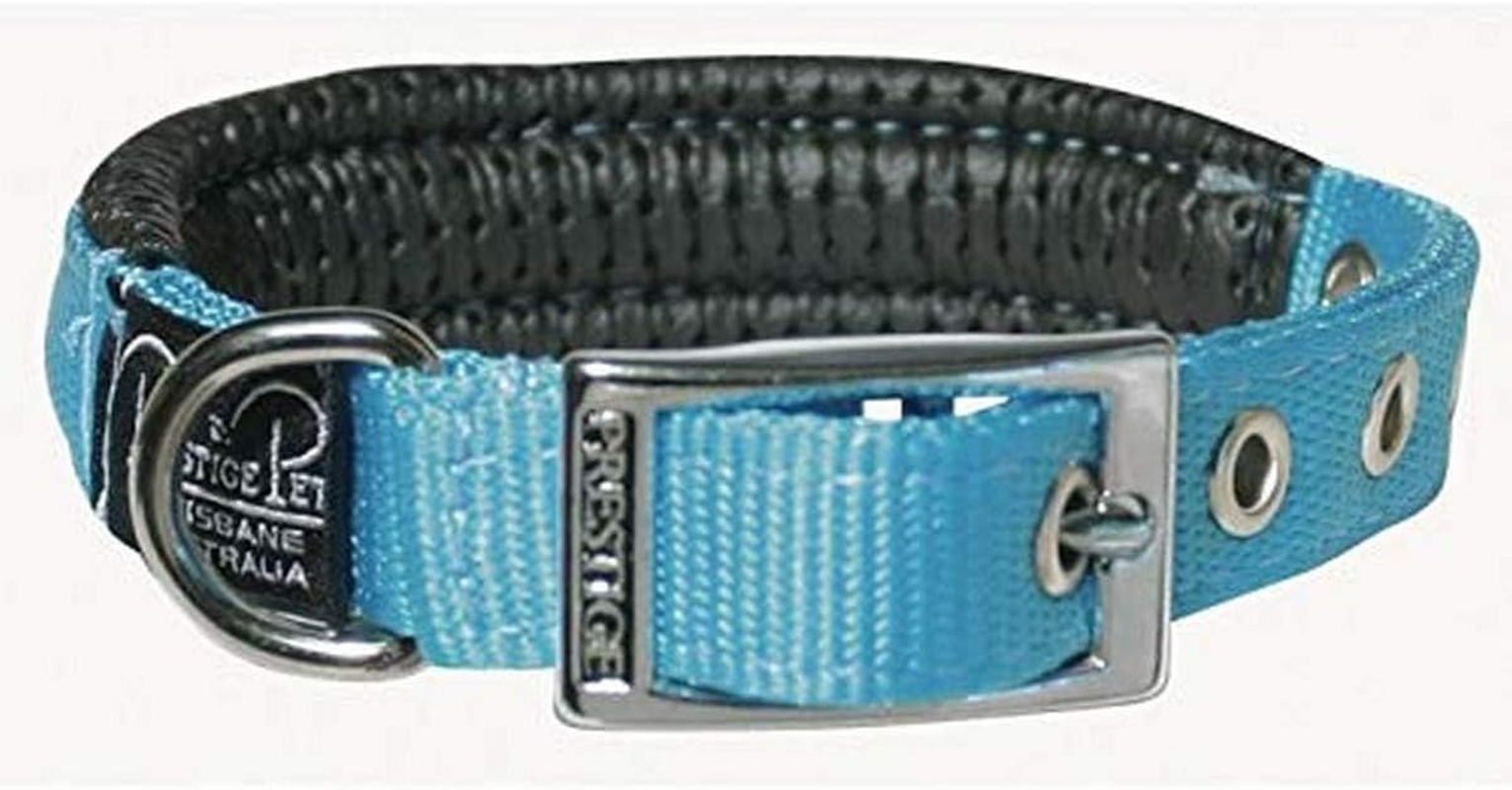 Prestige Pet Adjustable Dog Collar, Turquoise image number 1