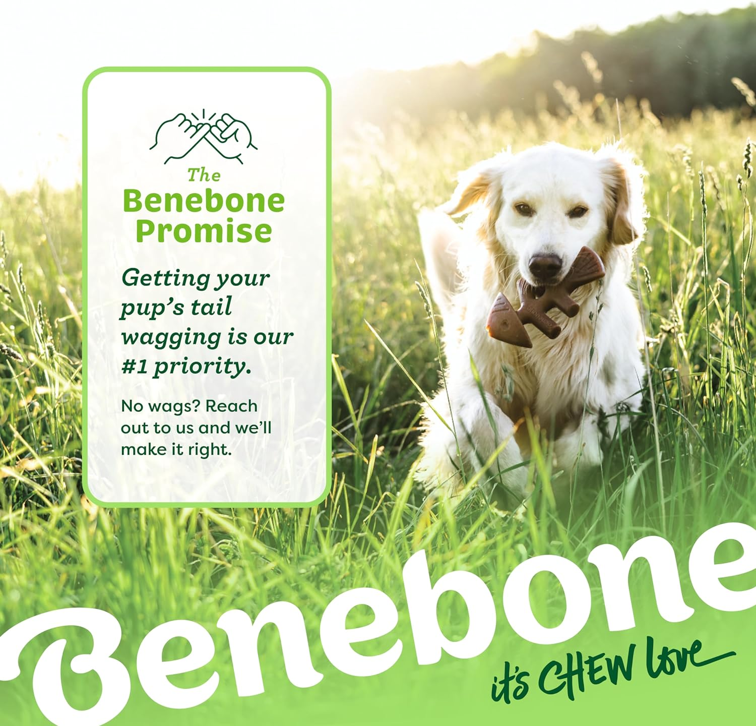 Benebone Fishbone Medium image number 2